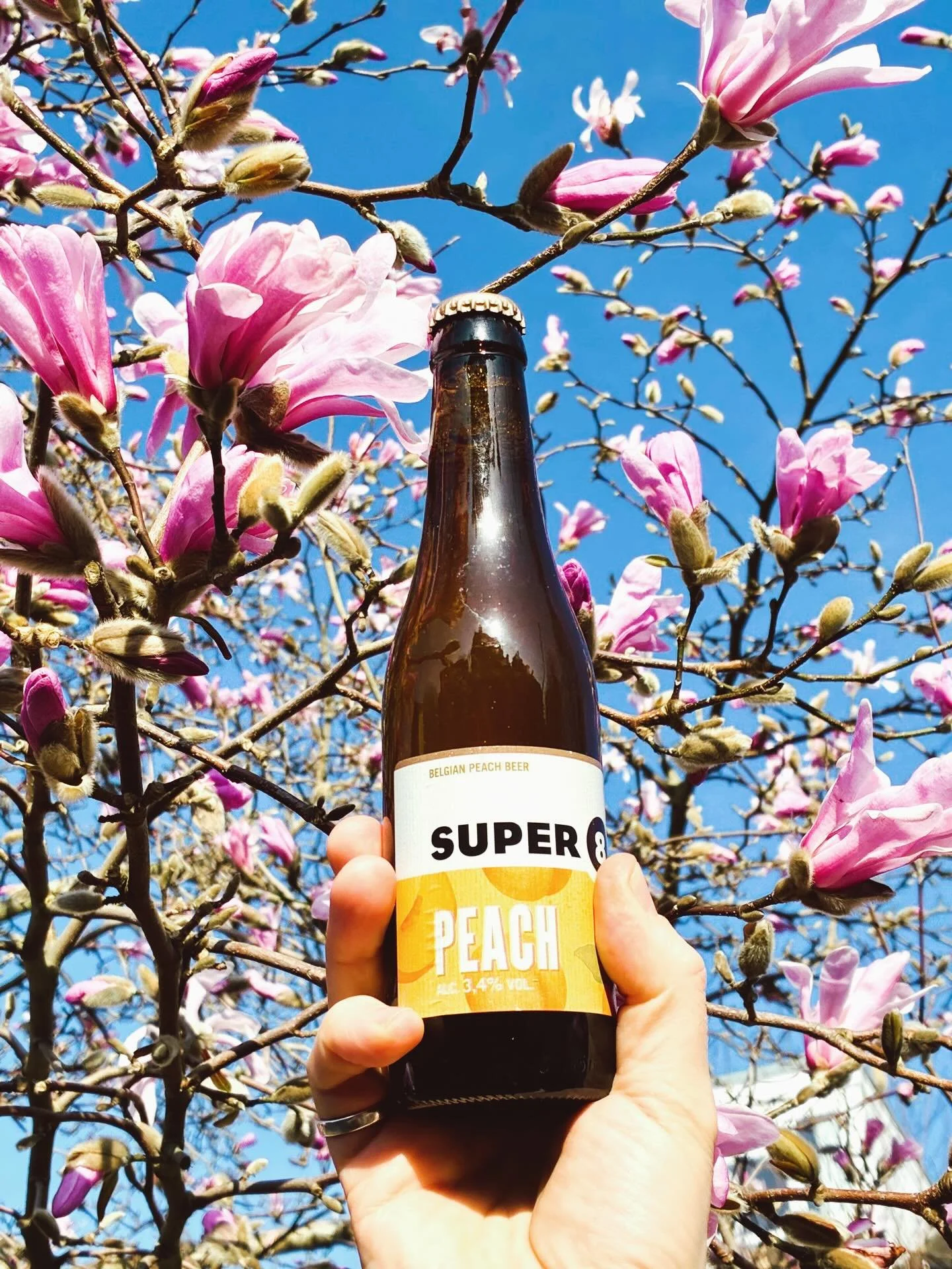 Spring is that you?☀️🍃

Our super 8 peach beer &hellip;perfect in the sunshine.

Fresh &amp; fruity, juicy peaches, smooth &amp; mellow&hellip;oof. 🍑. Low abv at 3.4%

#belgianbeer #fruitbeer #beer #smallbiz #beersofinstagram