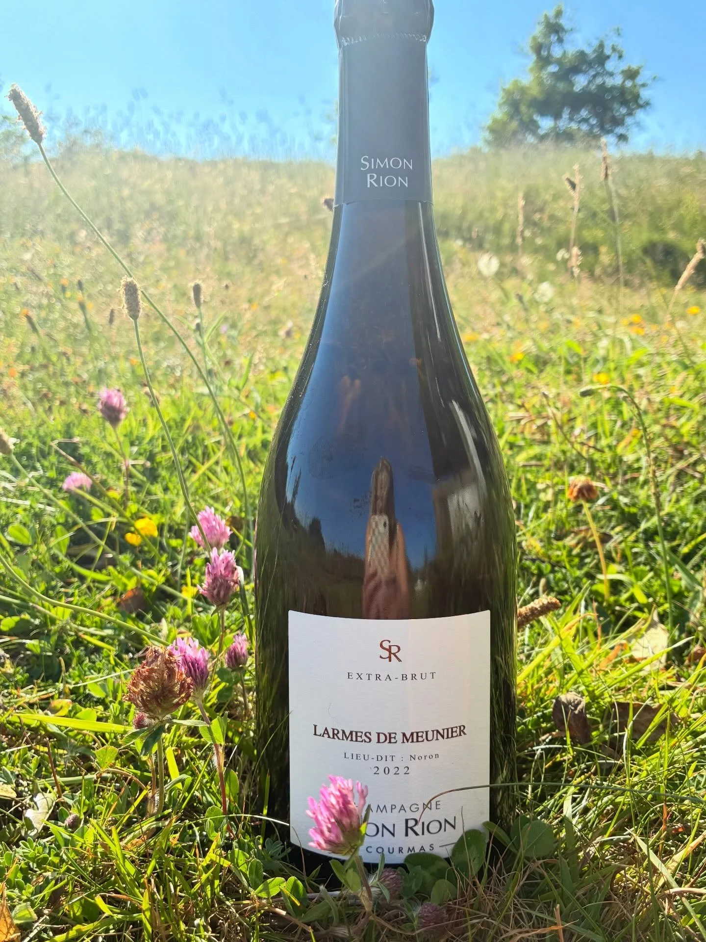 🌟NEW🌟 

Simon Rion Larmes de Meunier 2022 Extra Brut

Small production boutique champagne 🍾

What we most love about grower champagne (grower - the producer only makes wine from their own vineyard) is that it&rsquo;s not about a &lsquo;house style