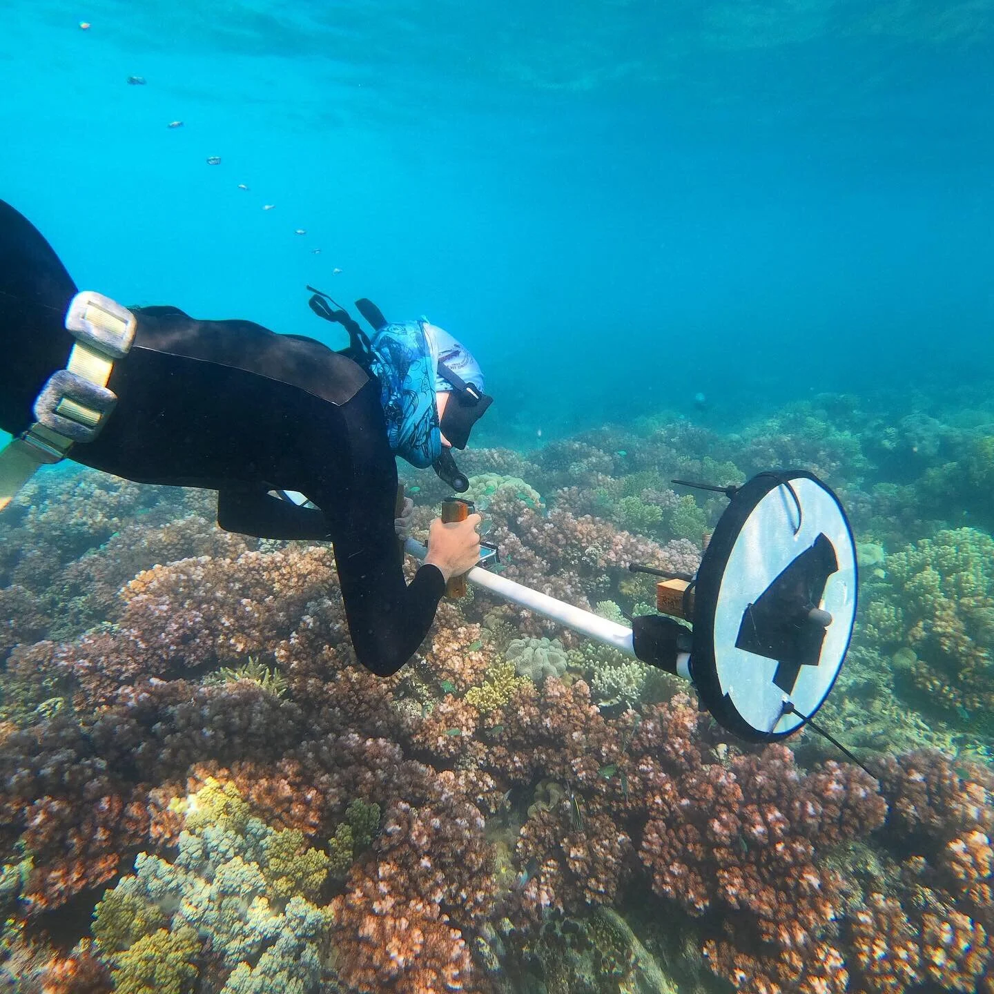 Fashion’s Impact on the Marine Environment