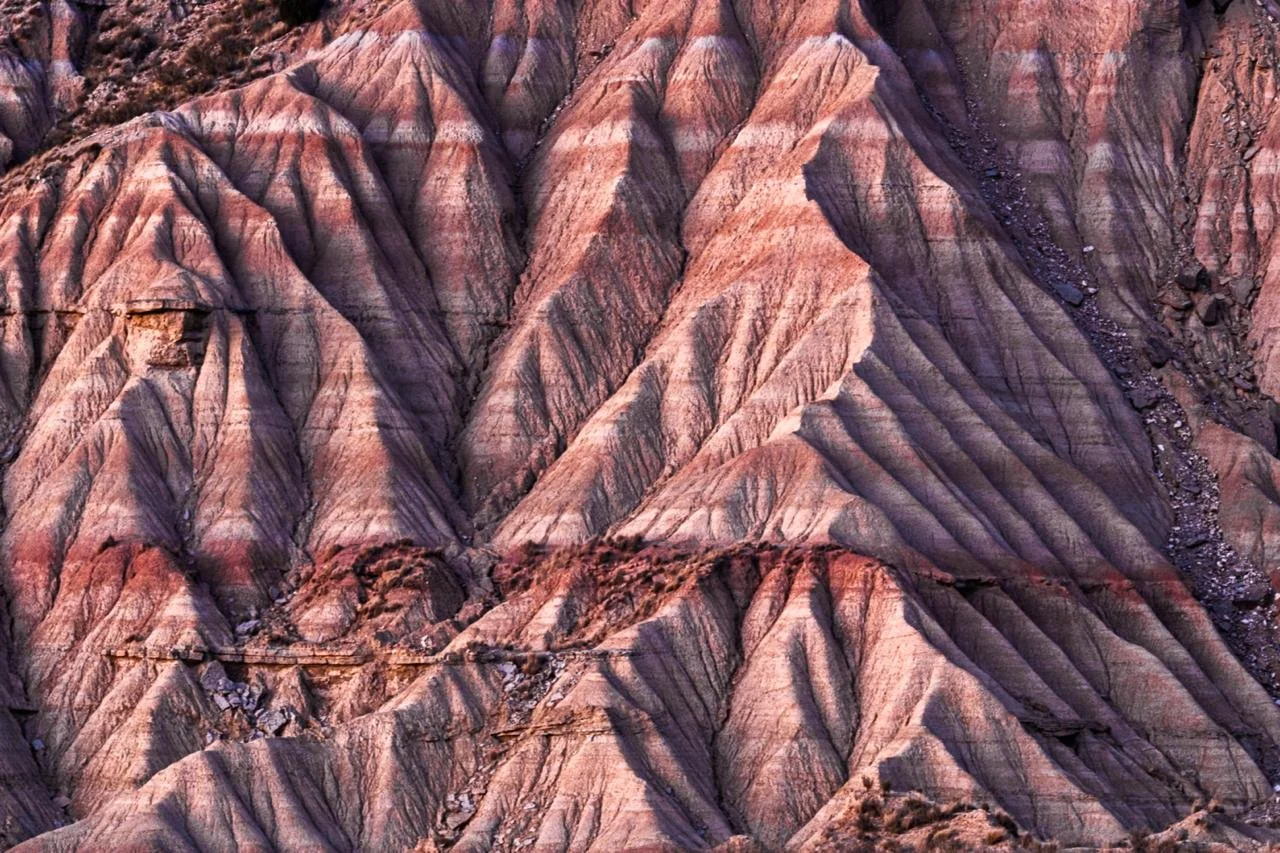 3c9dbc14-7c2e-4625-b9a1-8444f6e23801.jfif