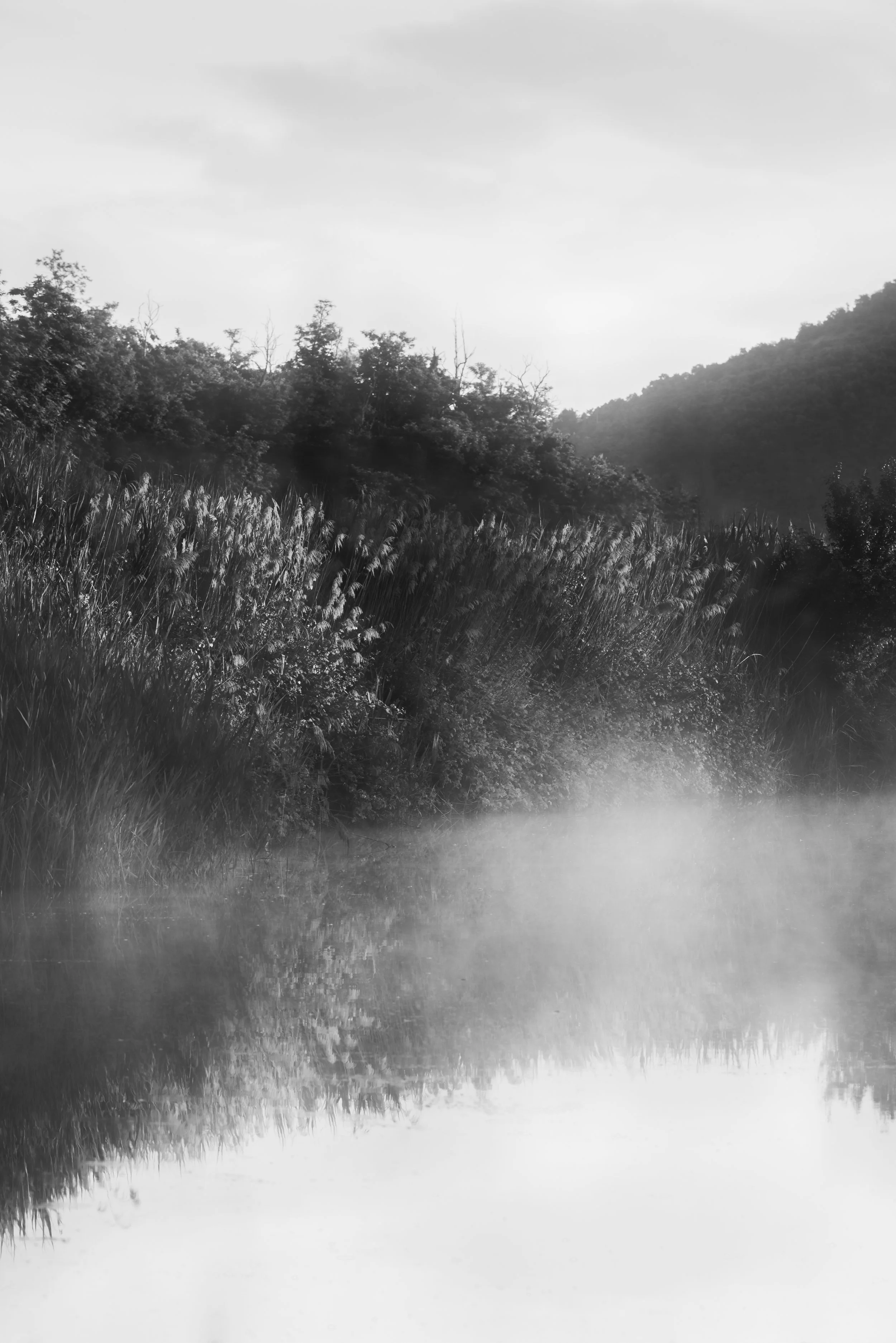 Oltre il visibile 7.jpg