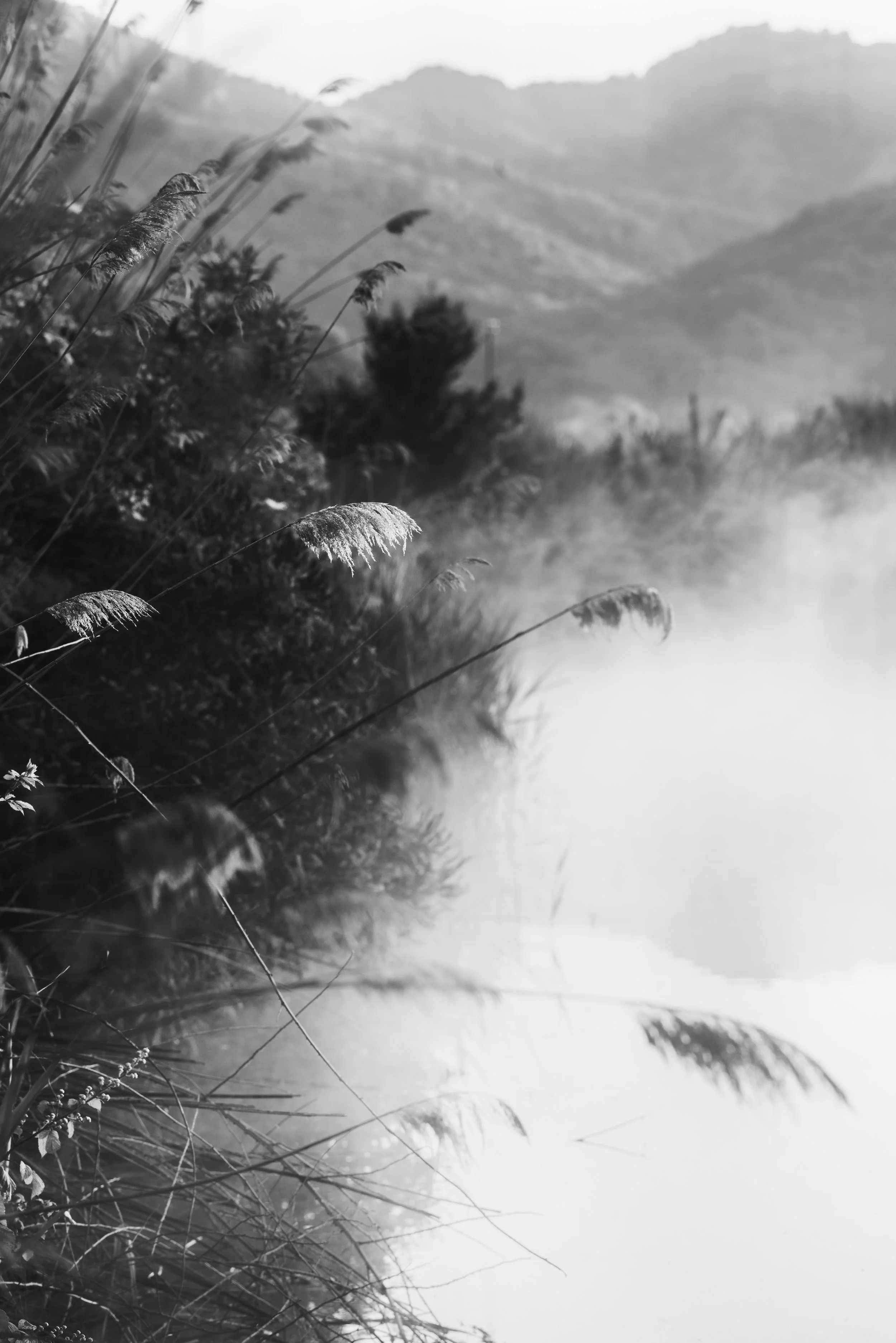 Oltre il visibile 6.jpg