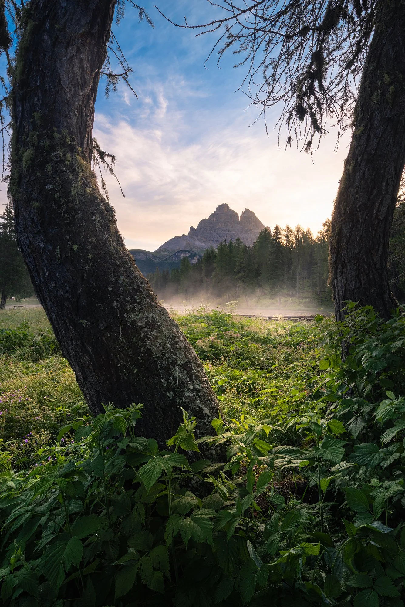Dolomiti Tre Cime lago Antorno 1.jpg