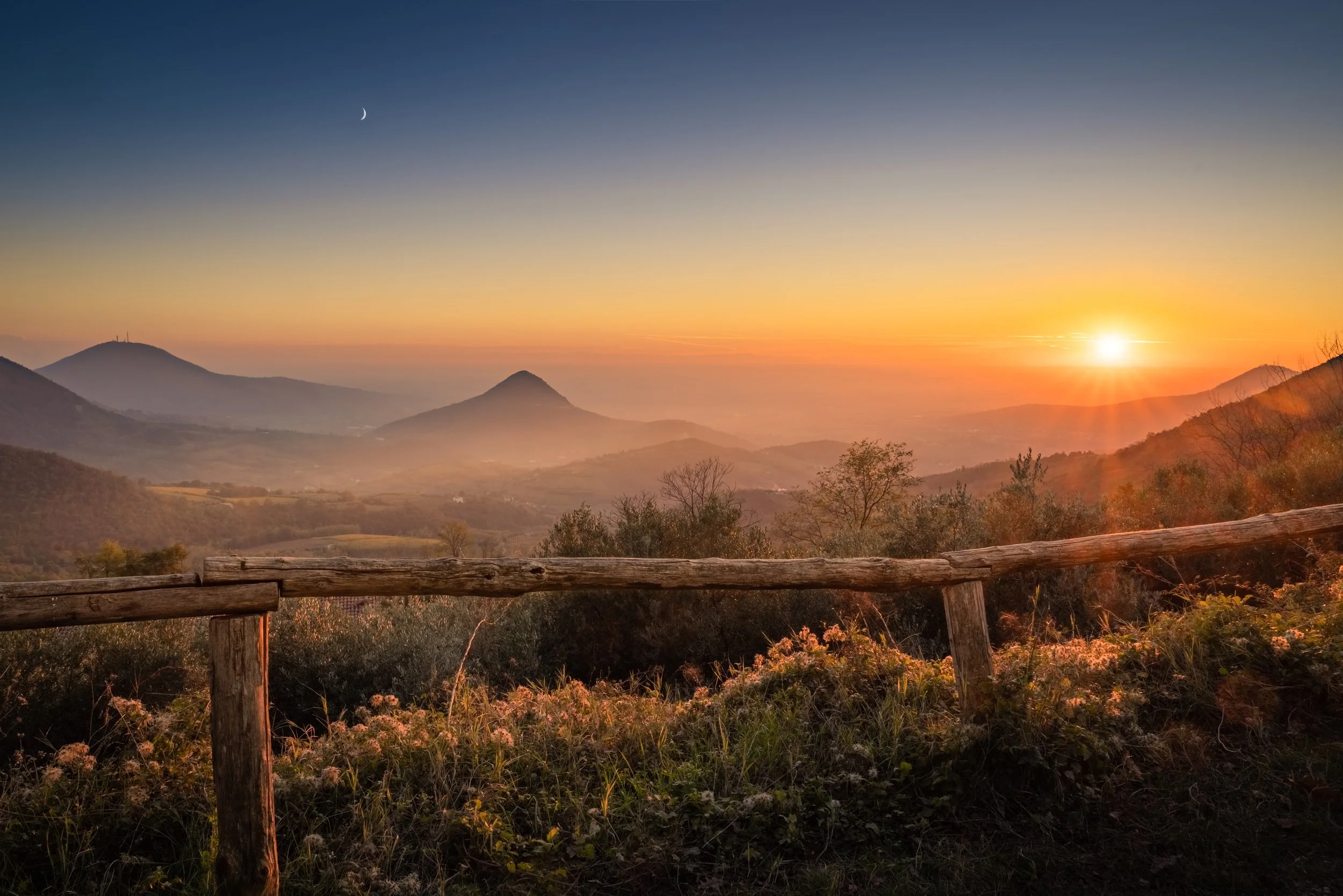 Veneto Padova Colli Euganei zona Poggio ai maronari secolari .jpg