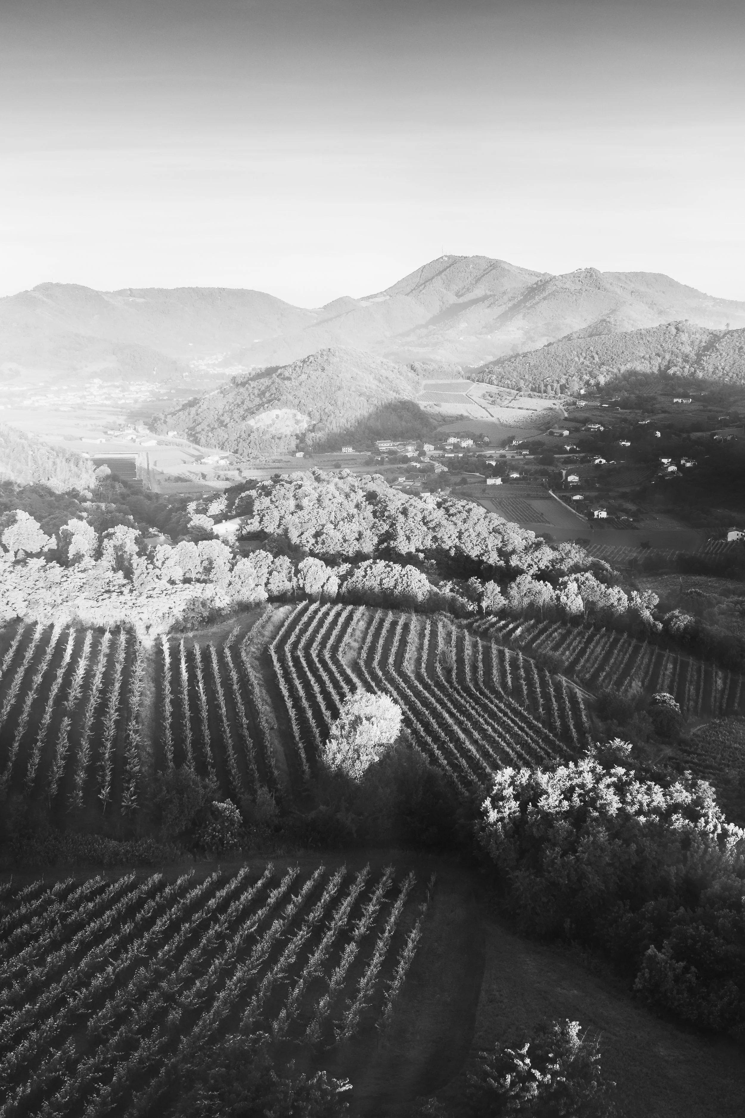 Oltre il visibile 24.jpg