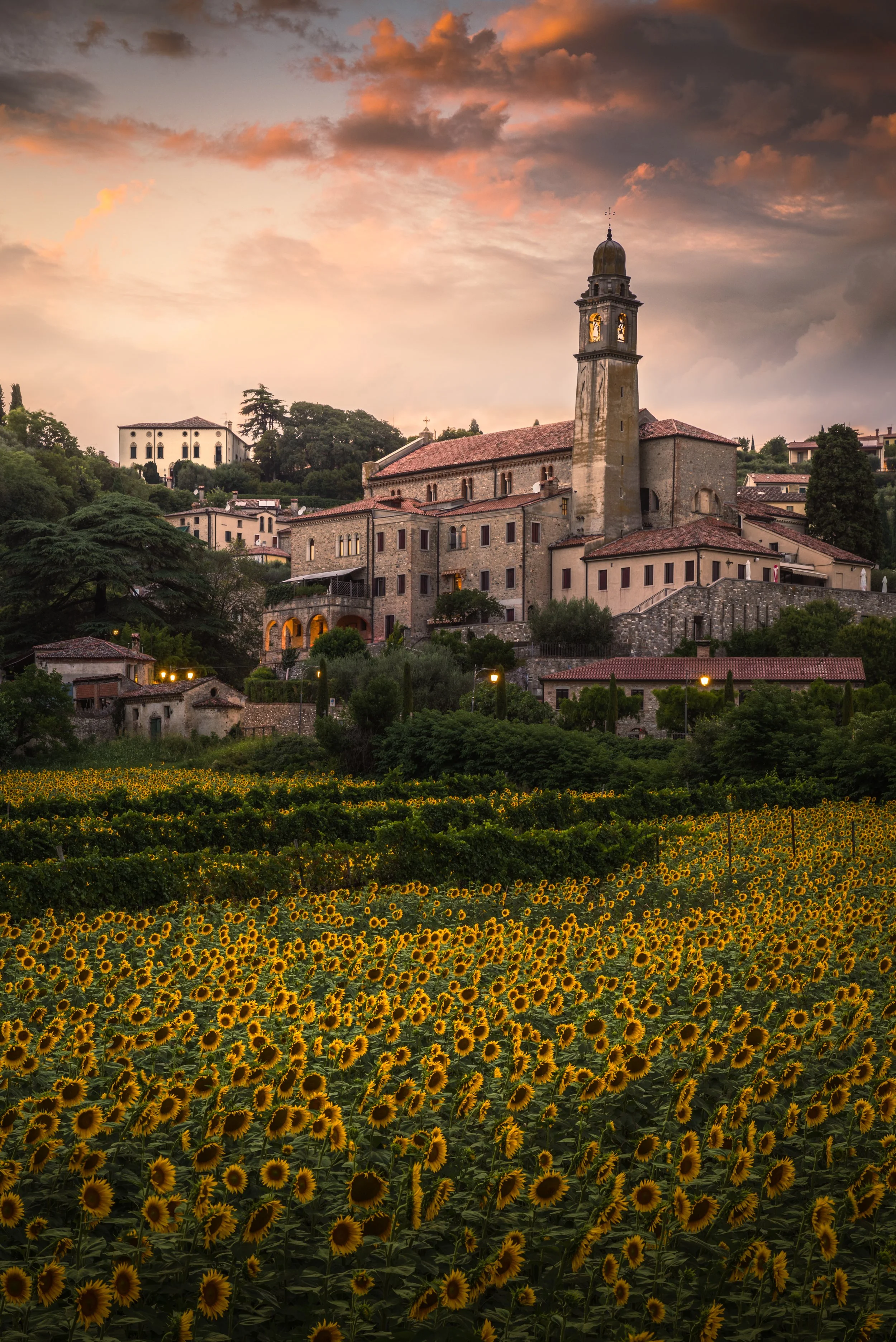 Paesaggio con campo di girasoli in primo piano e chiesa di montagna con torre campanaria sullo sfondo, al tramonto con cielo arancione e nuvole