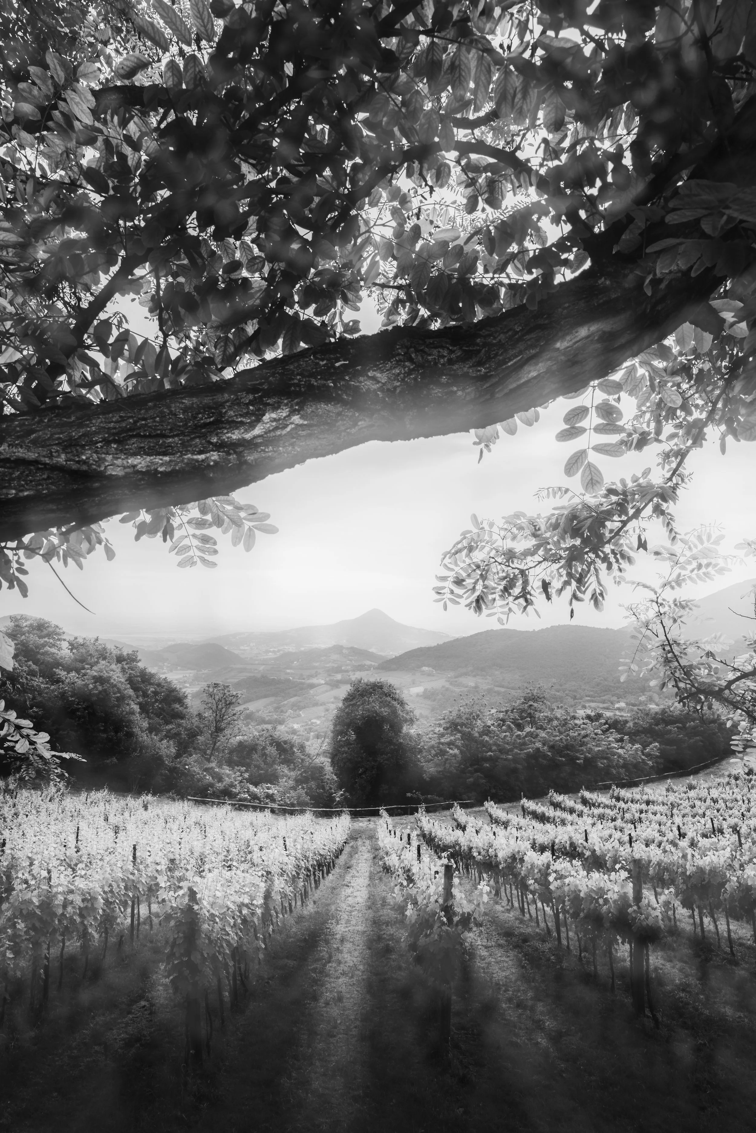 Oltre il visibile 11.jpg