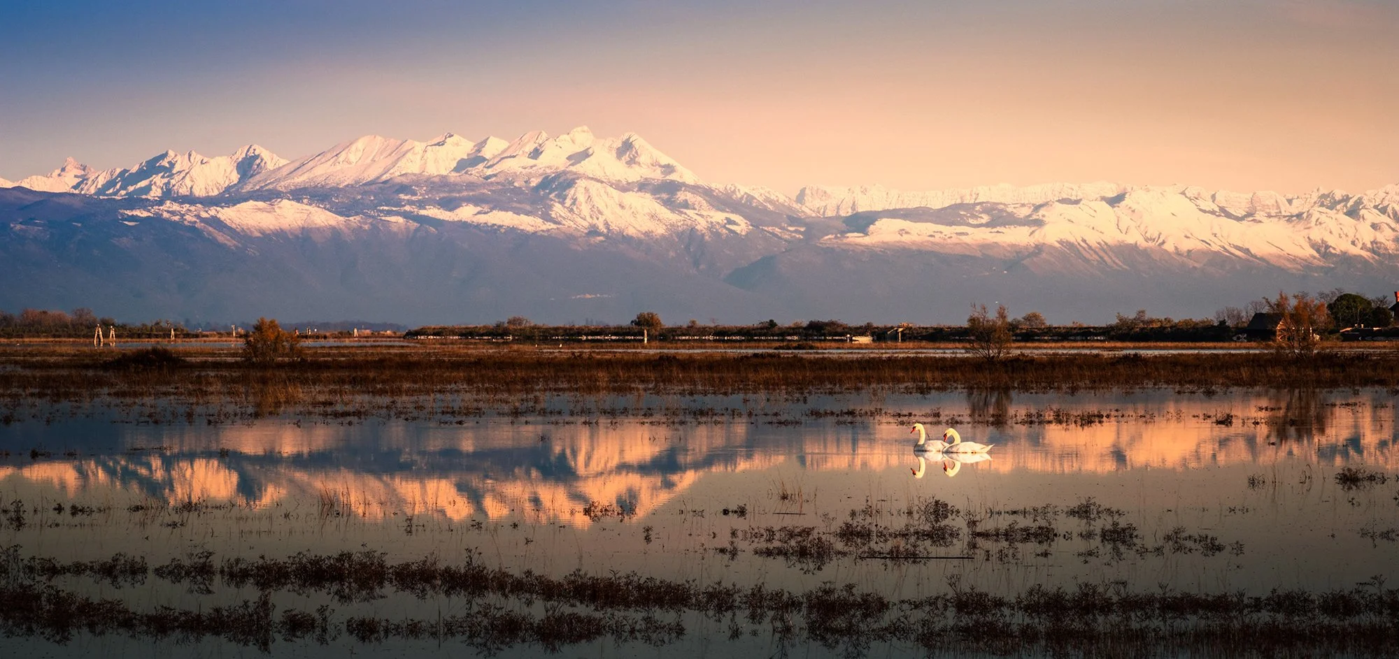 Veneto laguna veneta con montagne 4.jpg