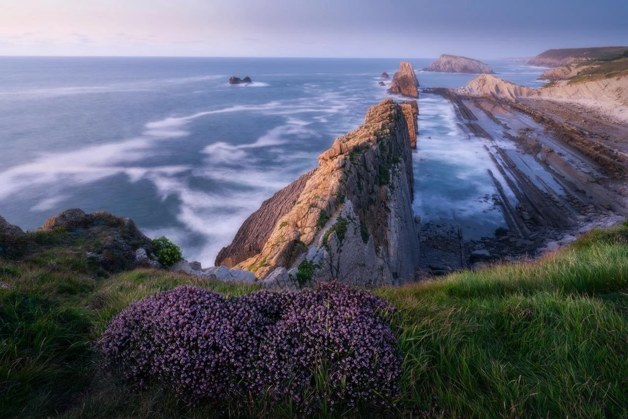 567b5523-c5e8-494d-86d8-852c4b2b8a0a.jfif