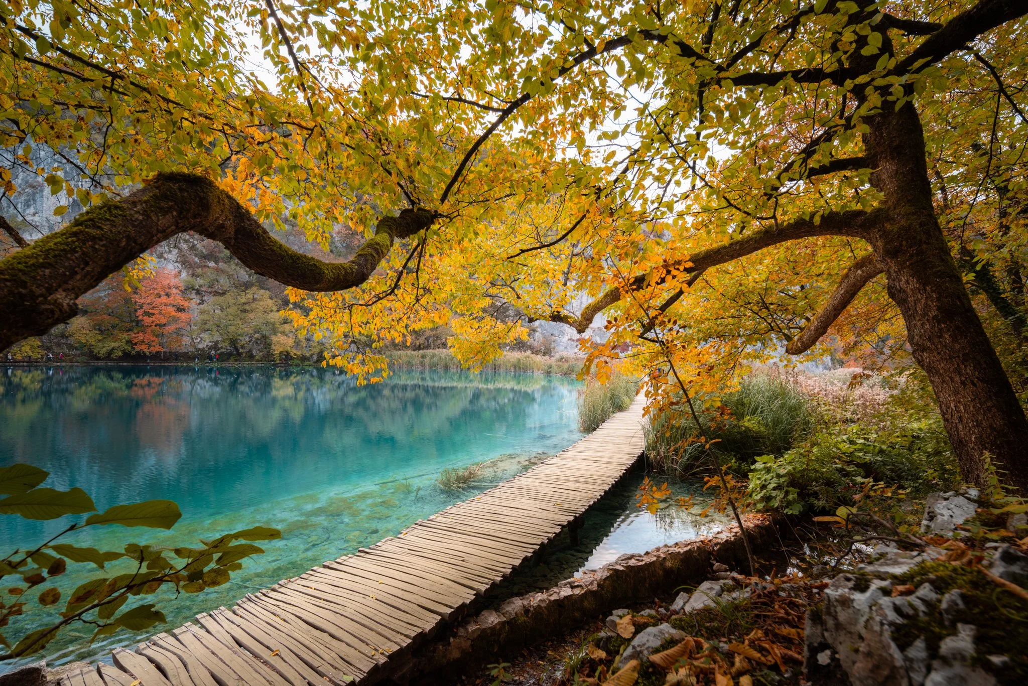 Laghi di Plitvice 1.jpg