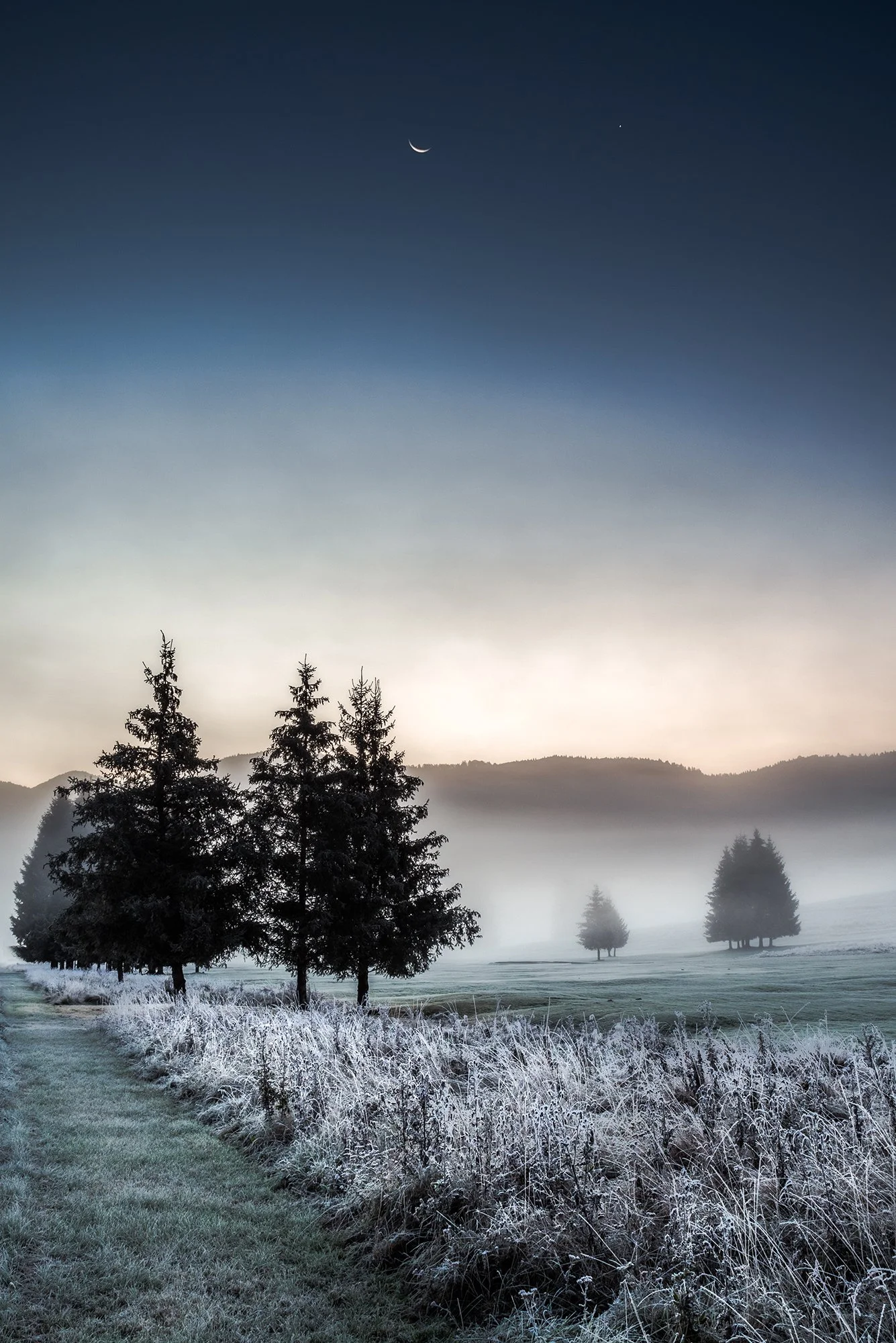 Veneto Cansiglio inverno Luna.jpg