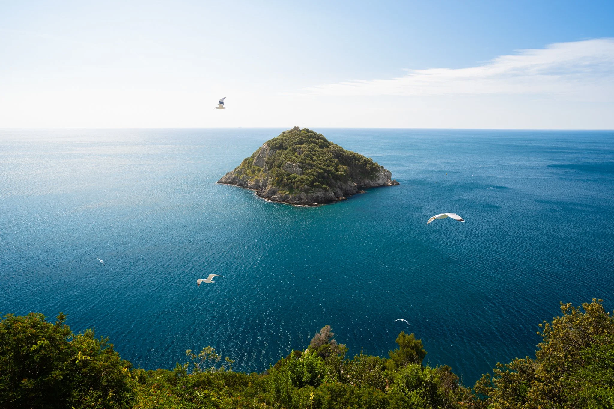 Golfo dell'Isola 1.jpg