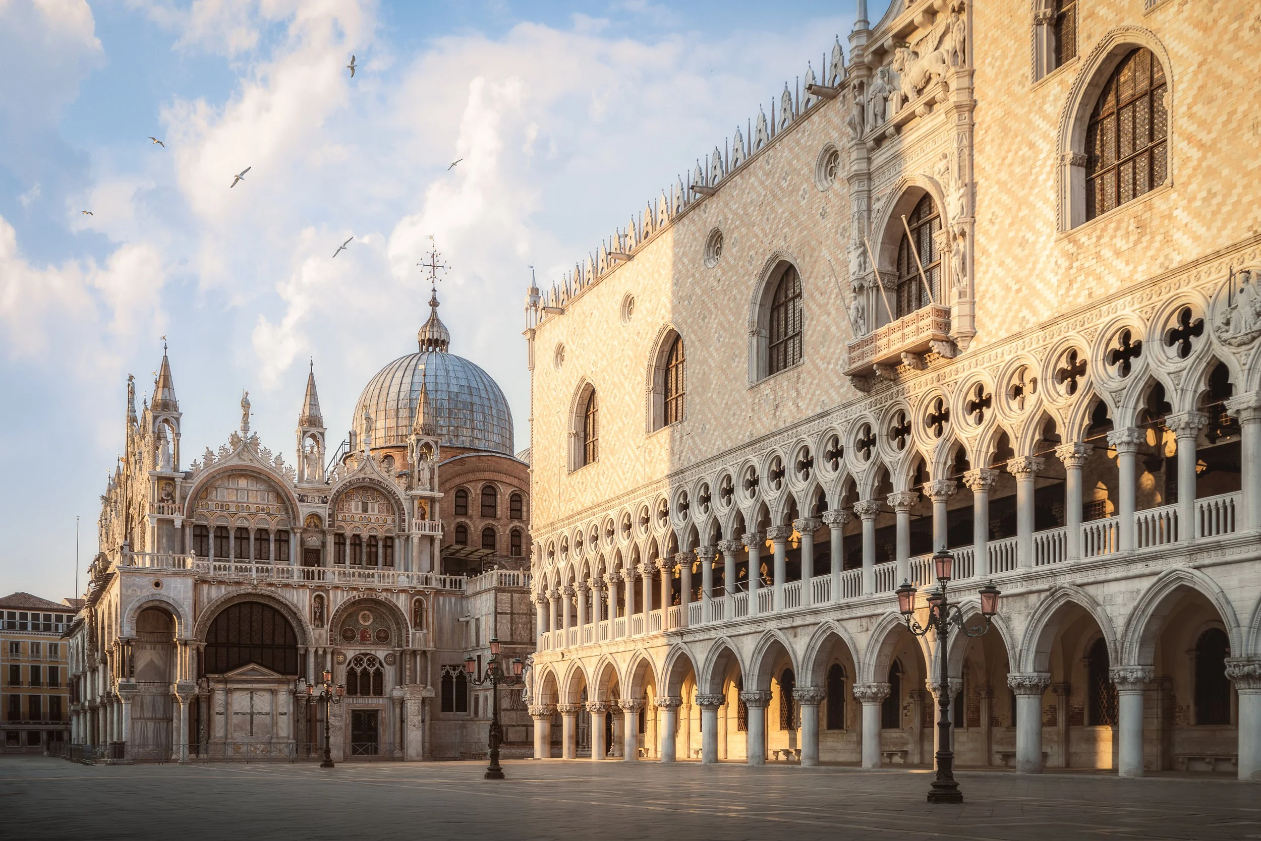 Vista del Palazzo Ducale e della Basilica di San Marco a Venezia al tramonto, con il cielo sereno e alcuni gabbiani in volo.