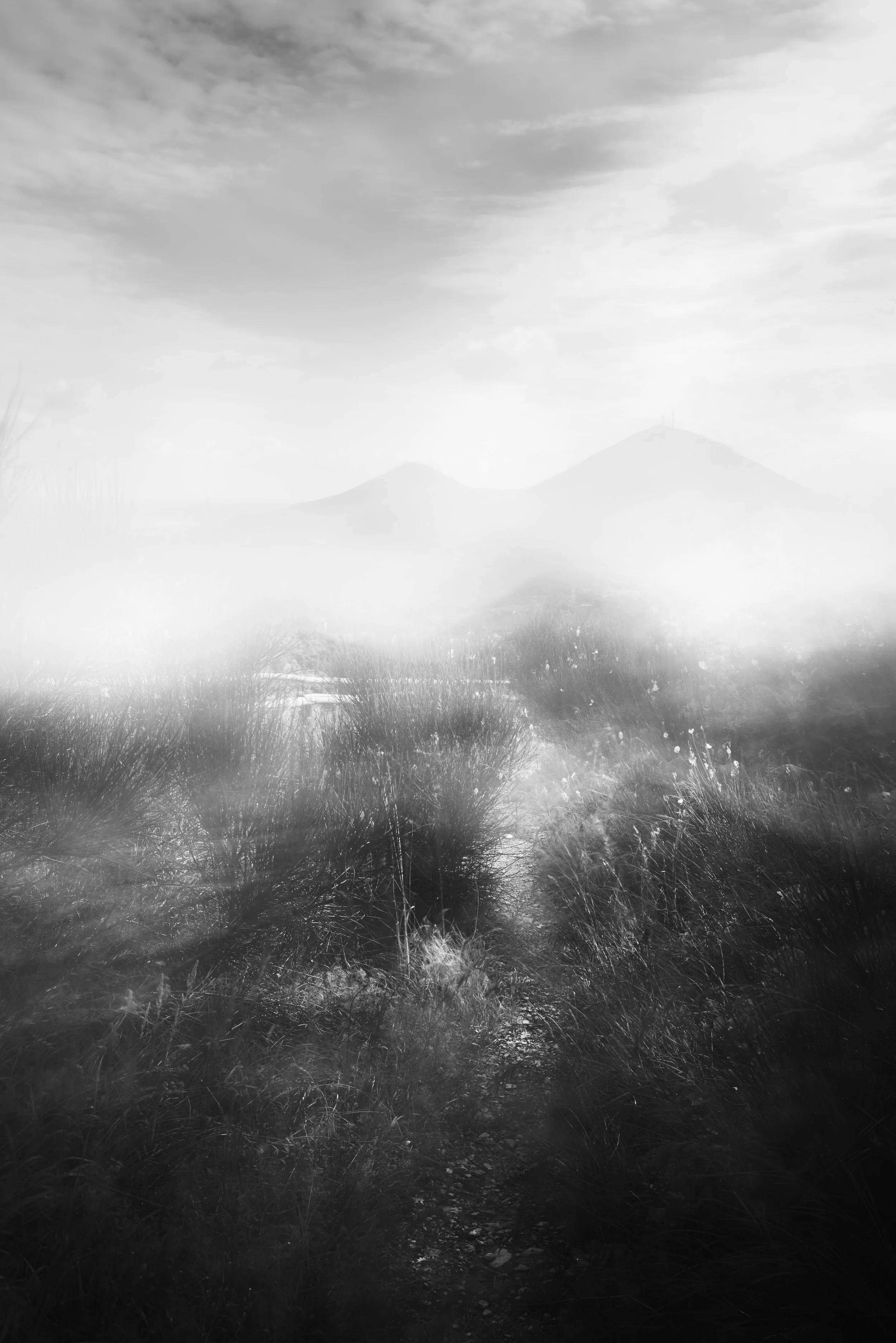 Oltre il visibile 3.jpg