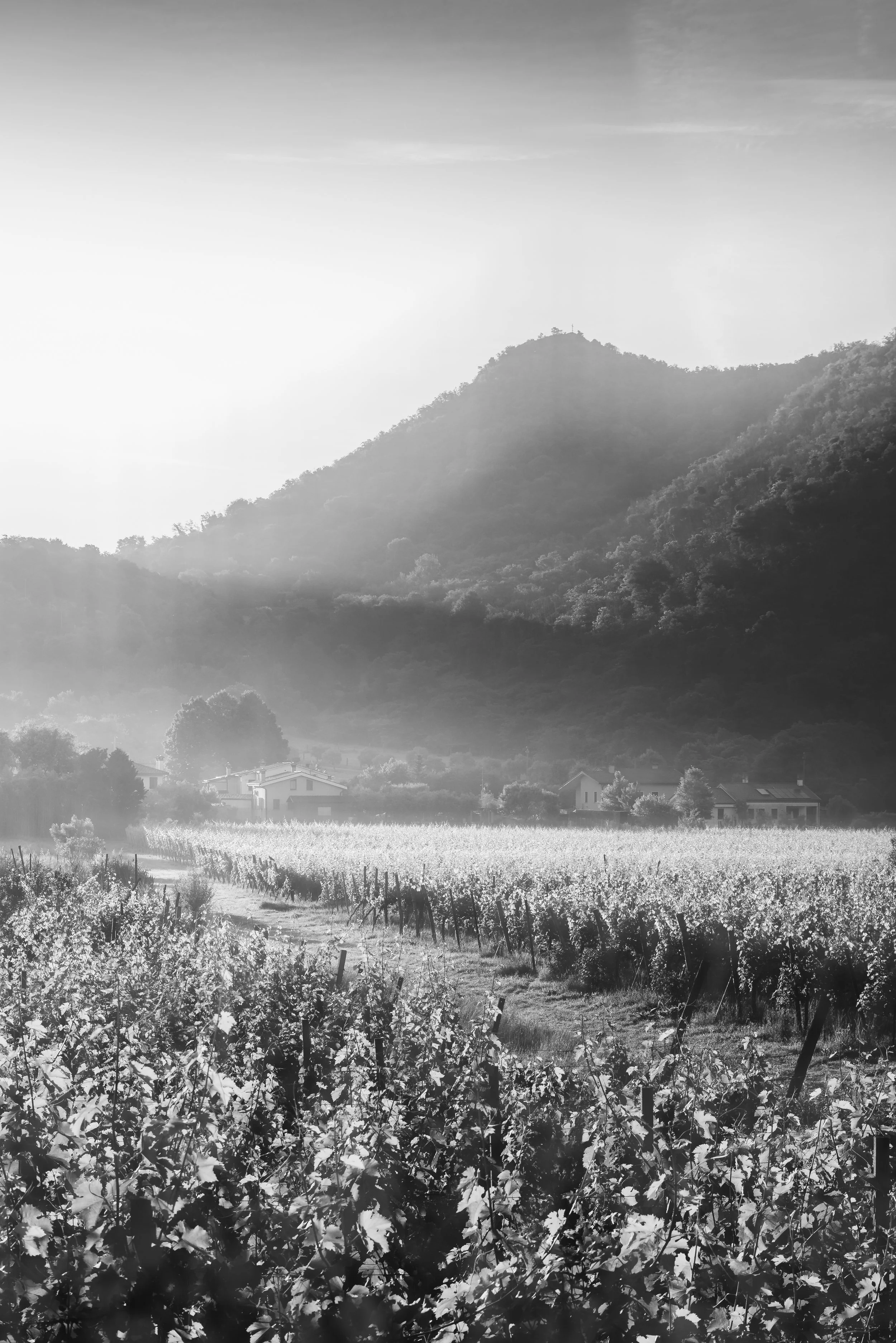 Oltre il visibile 19.jpg