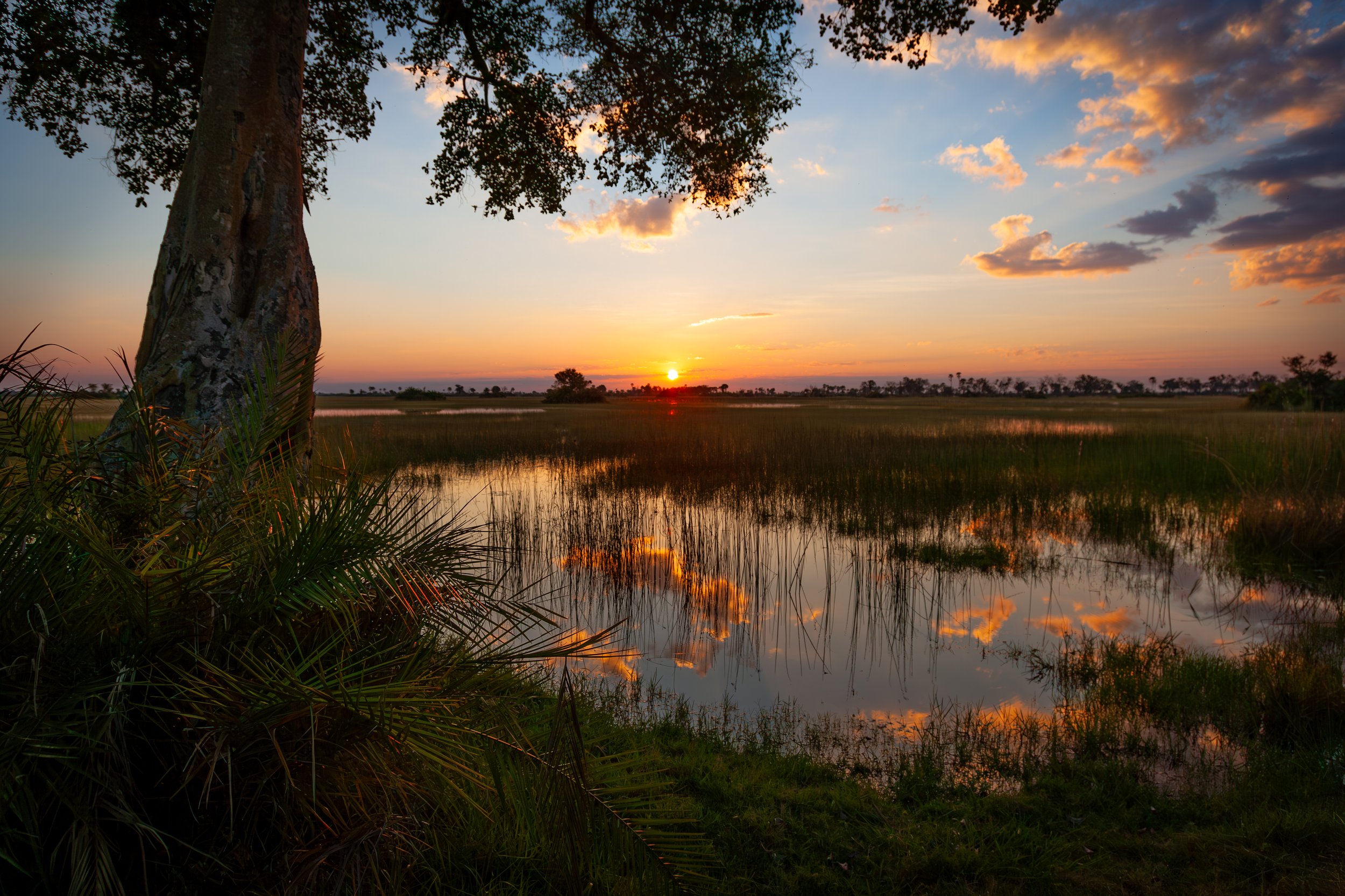 7 SURPRISING WELLNESS BENEFITS: Of Going on an African Photography Safari