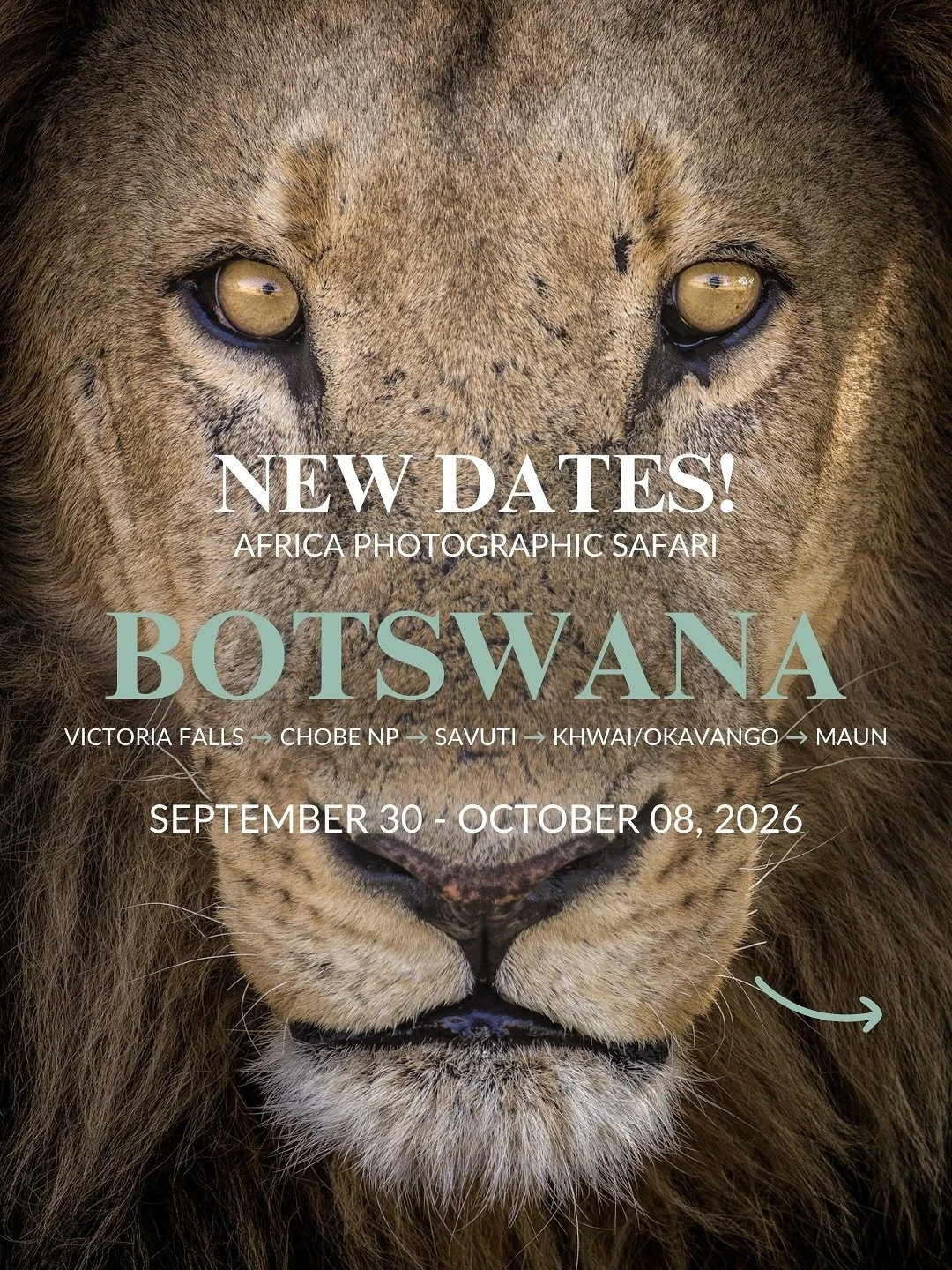 📢 NEW DATES ANNOUNCED!
Join me for an exclusive Botswana photo safari from Sept 30–Oct 8, 2026
Ready for the ultimate African photography adventure?
From the Chobe River to the Savuti Marsh, @witoafricasafaris and I are hosting a 9-day photog