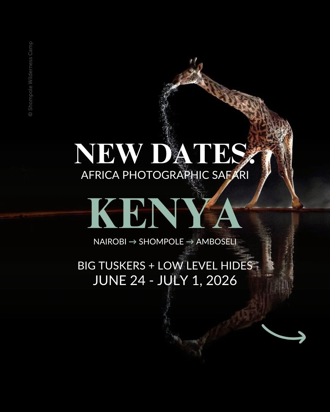 Join me for an exclusive Kenya photo safari from Jun 24 &ndash; Jul 1, 2026

Ready for the ultimate African photography adventure? From Shompole to Amboseli, @witoafricasafaris and I are hosting an 8-day photographic safari in Kenya for just 4 guests