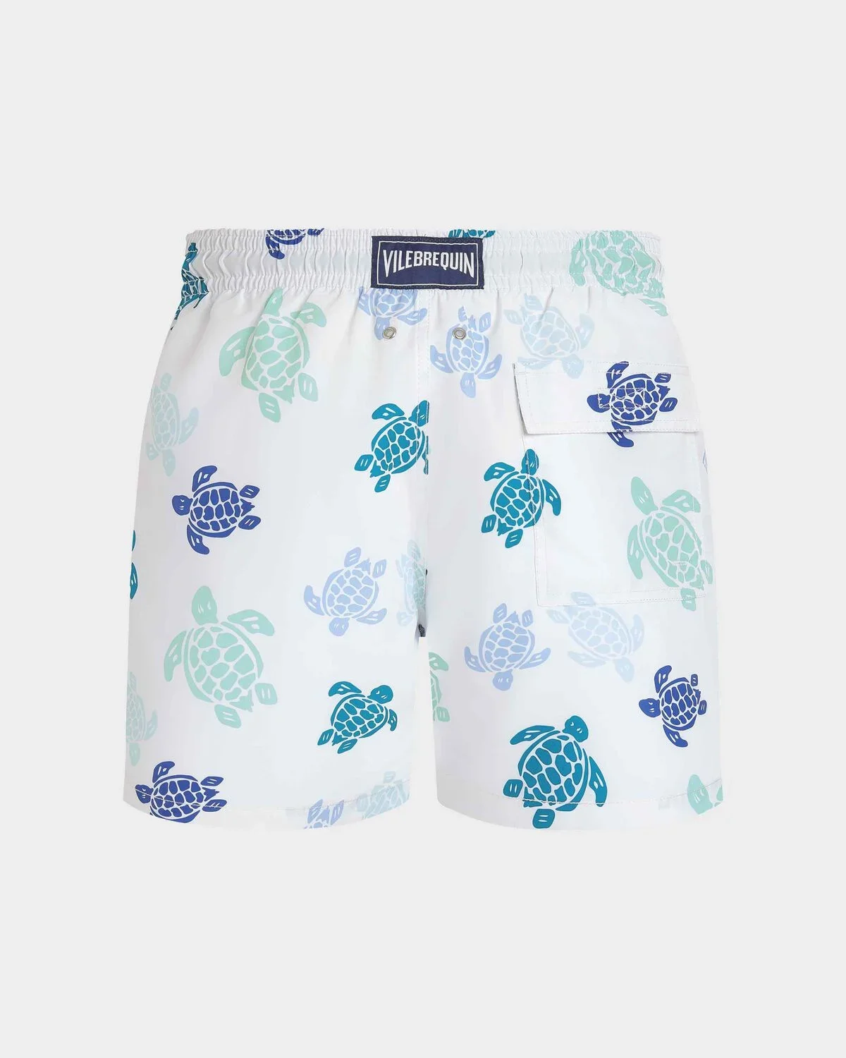 Men Swim Shorts Tortues  Multicolores