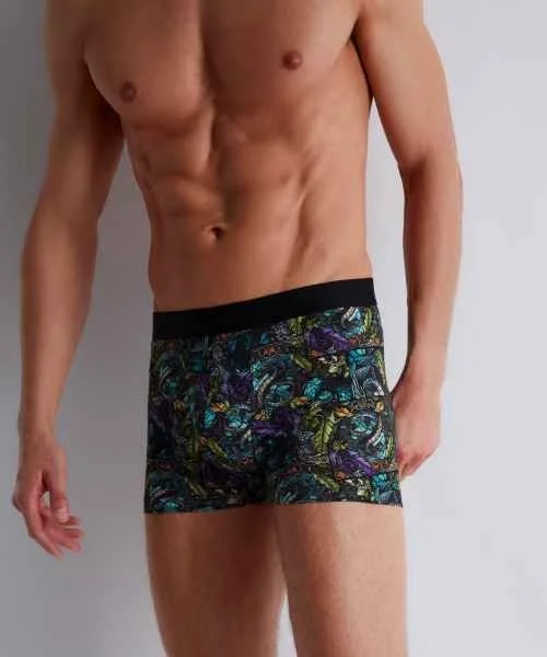 Homme Boxer Dragon