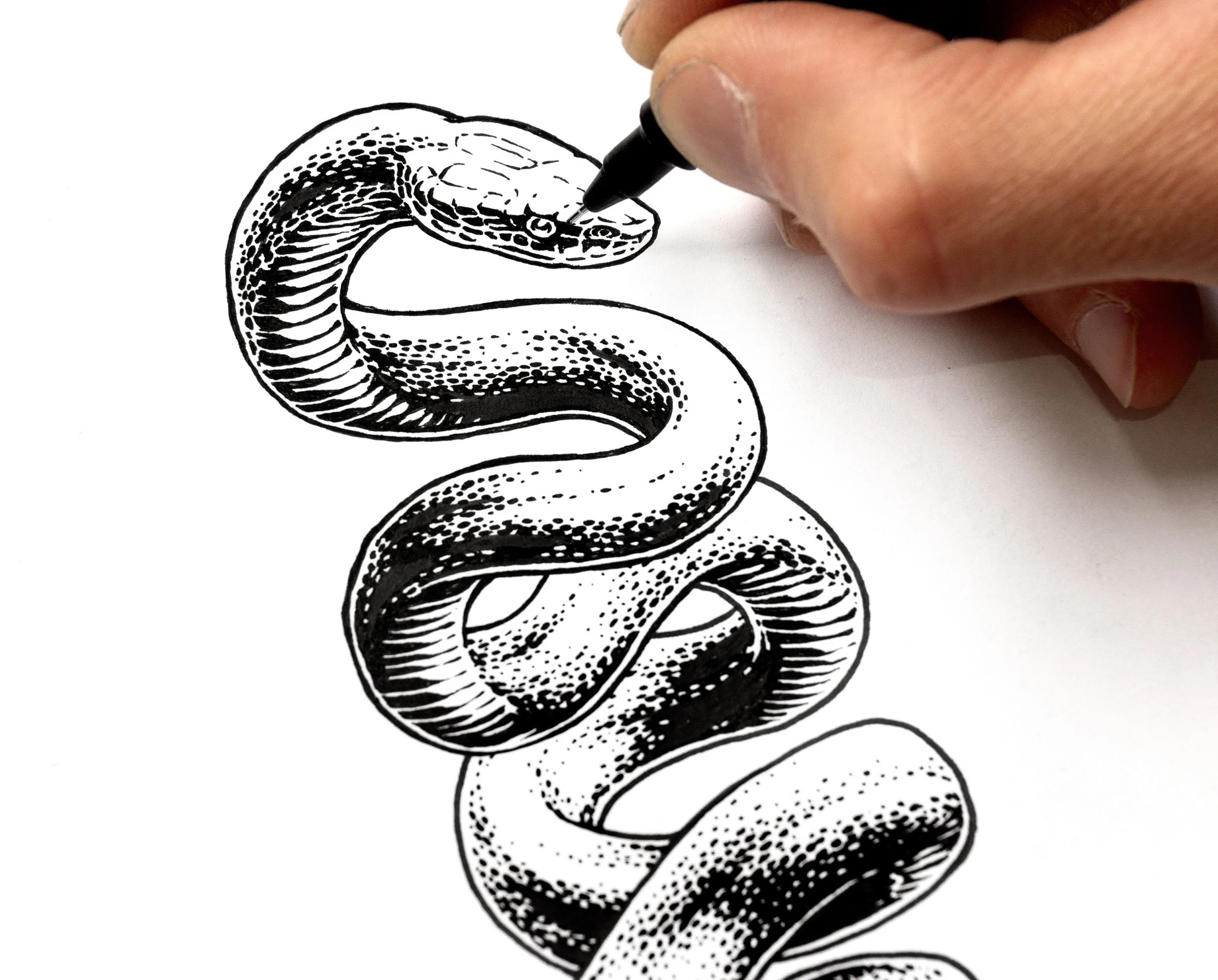 Phantom Corporation-Prosess-2.jpg