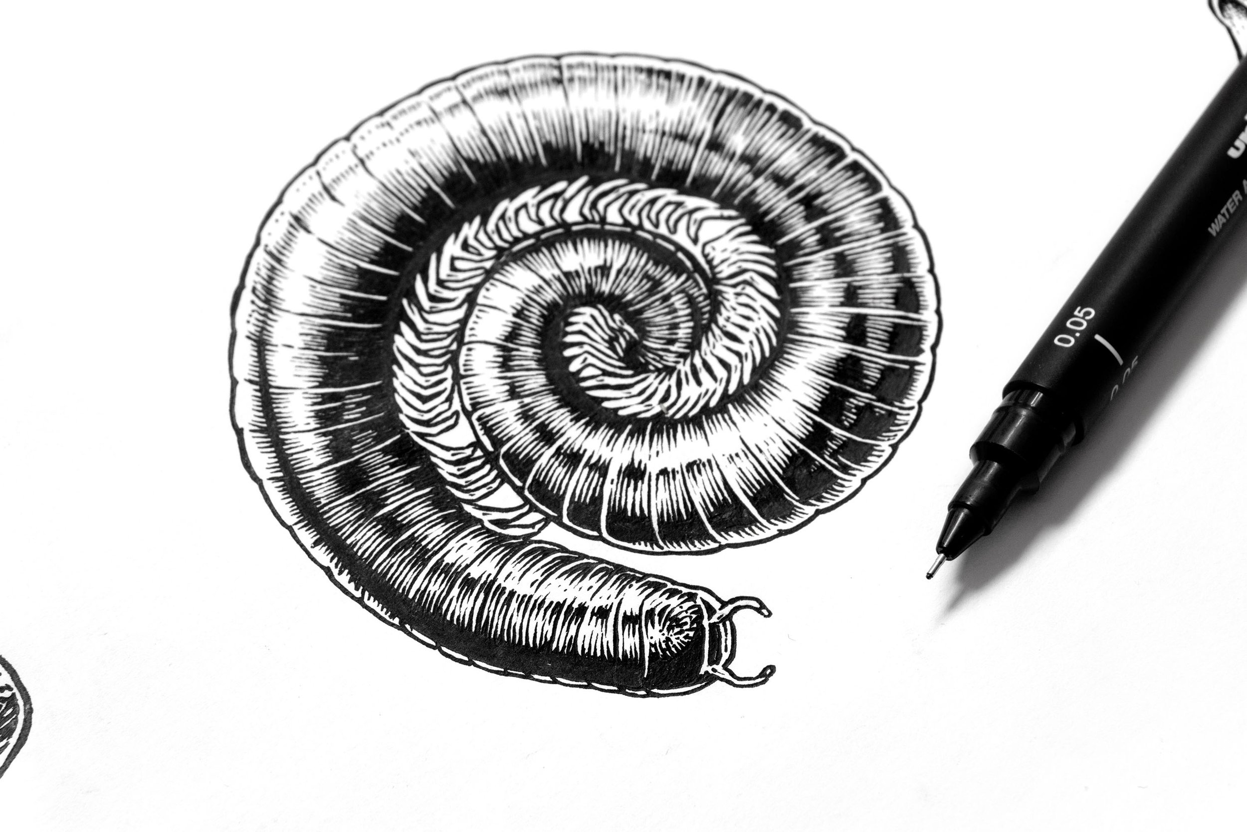 Phantom Corporation-Prosess-5.jpg