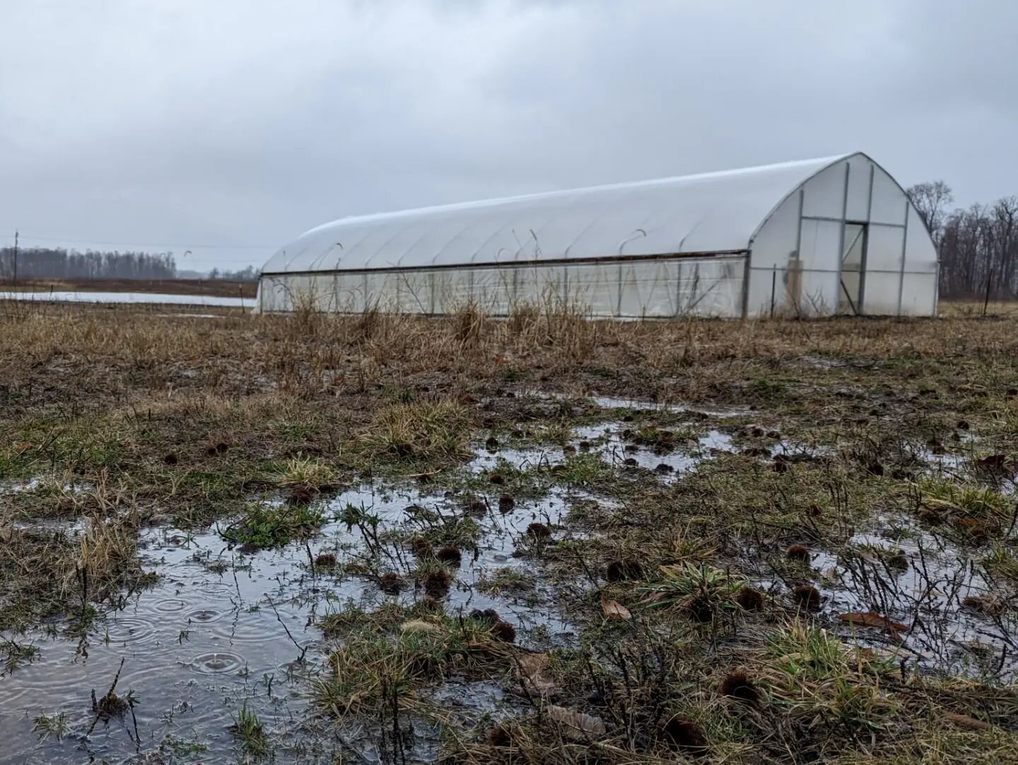 ☔ This is more characteristic of early March: frigid, unrelenting rains.  These conditions are  a major reason why we don't jump the gun on getting into the field.  It seems this heartland soil needs a good spring marination every year before it's re