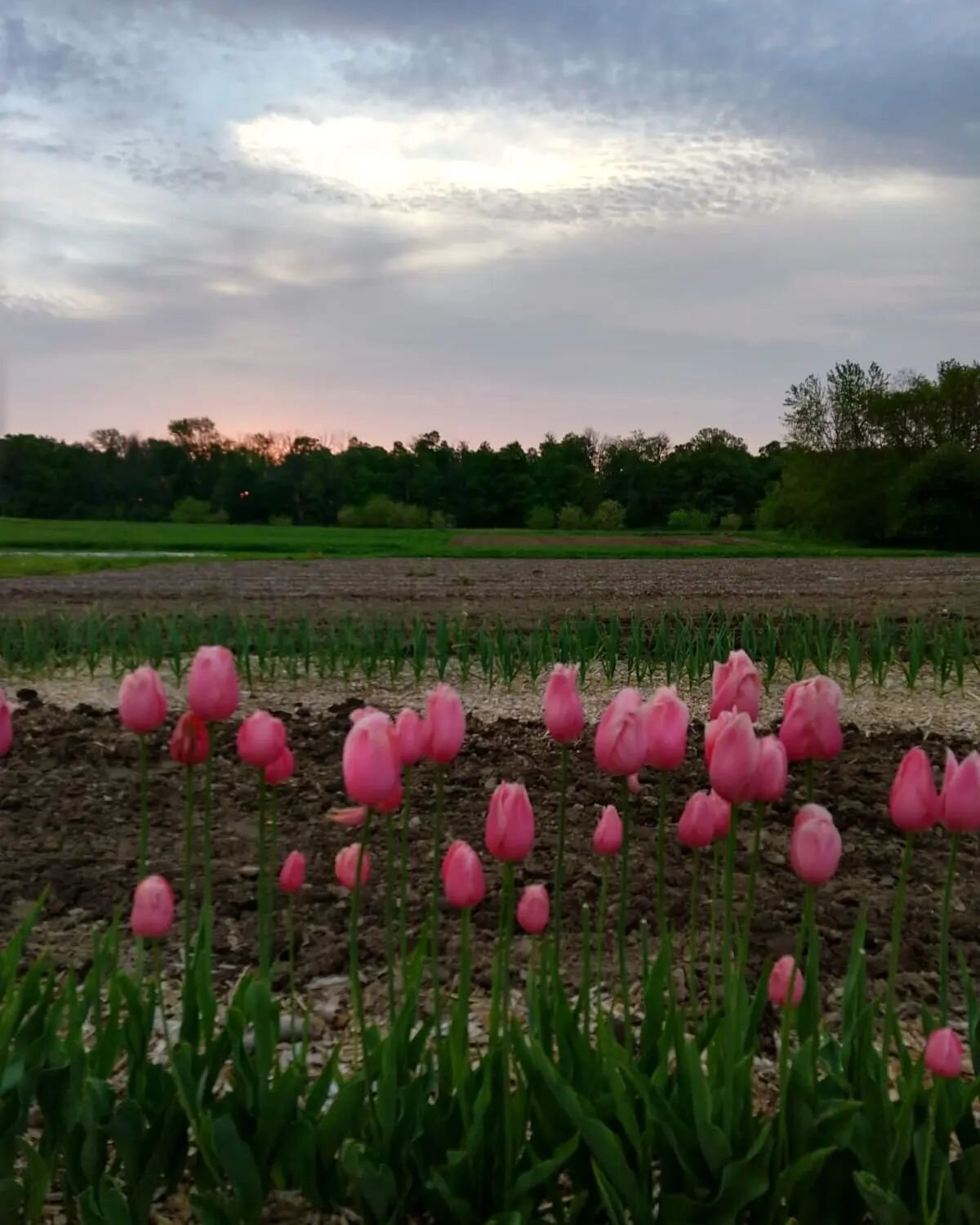 🙏A lot of you have asked how you can help, and now's the time!

After a difficult string of phone calls trying to get to the bottom of how @generalmotors was able to clear protected wetlands and endangered Indiana bat habitat here in Brookville, Ohi