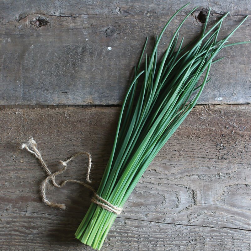 Bunch of Chives
