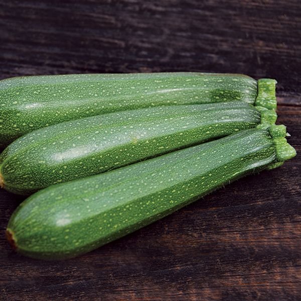 Dark Green Zucchini- 4-pack of plants