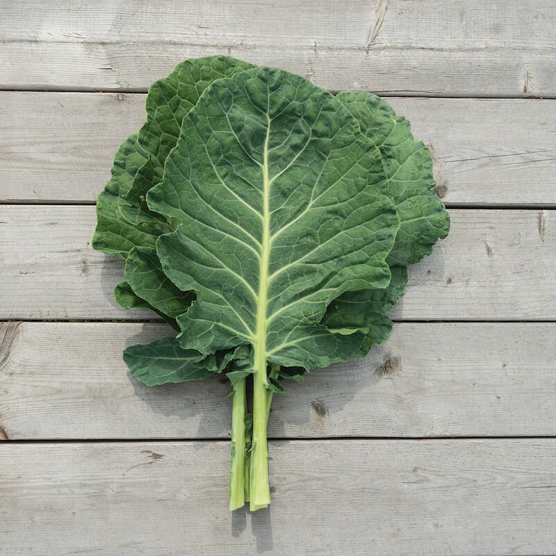 collards.jpeg
