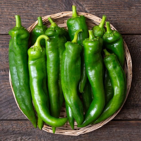 Anaheim Pepper Plants, 4-pack