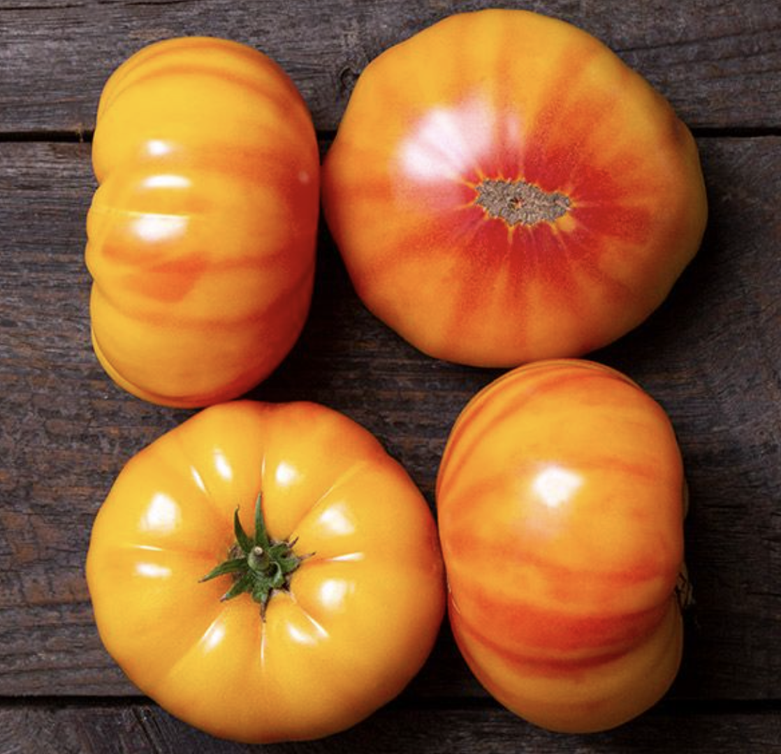 Gin Fizz Tomato by the pound