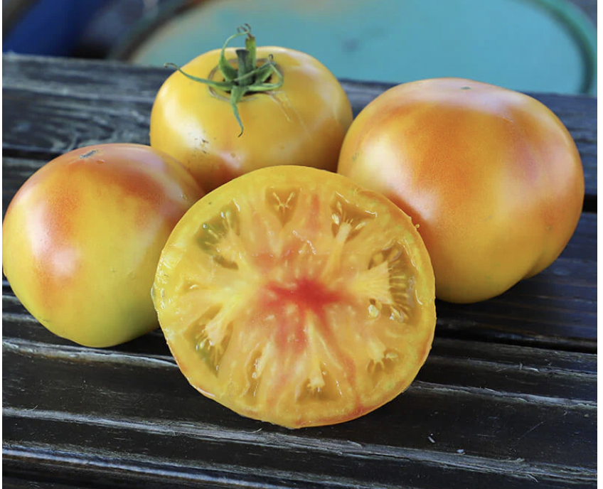 Mai Tai Tomatoes by the pound