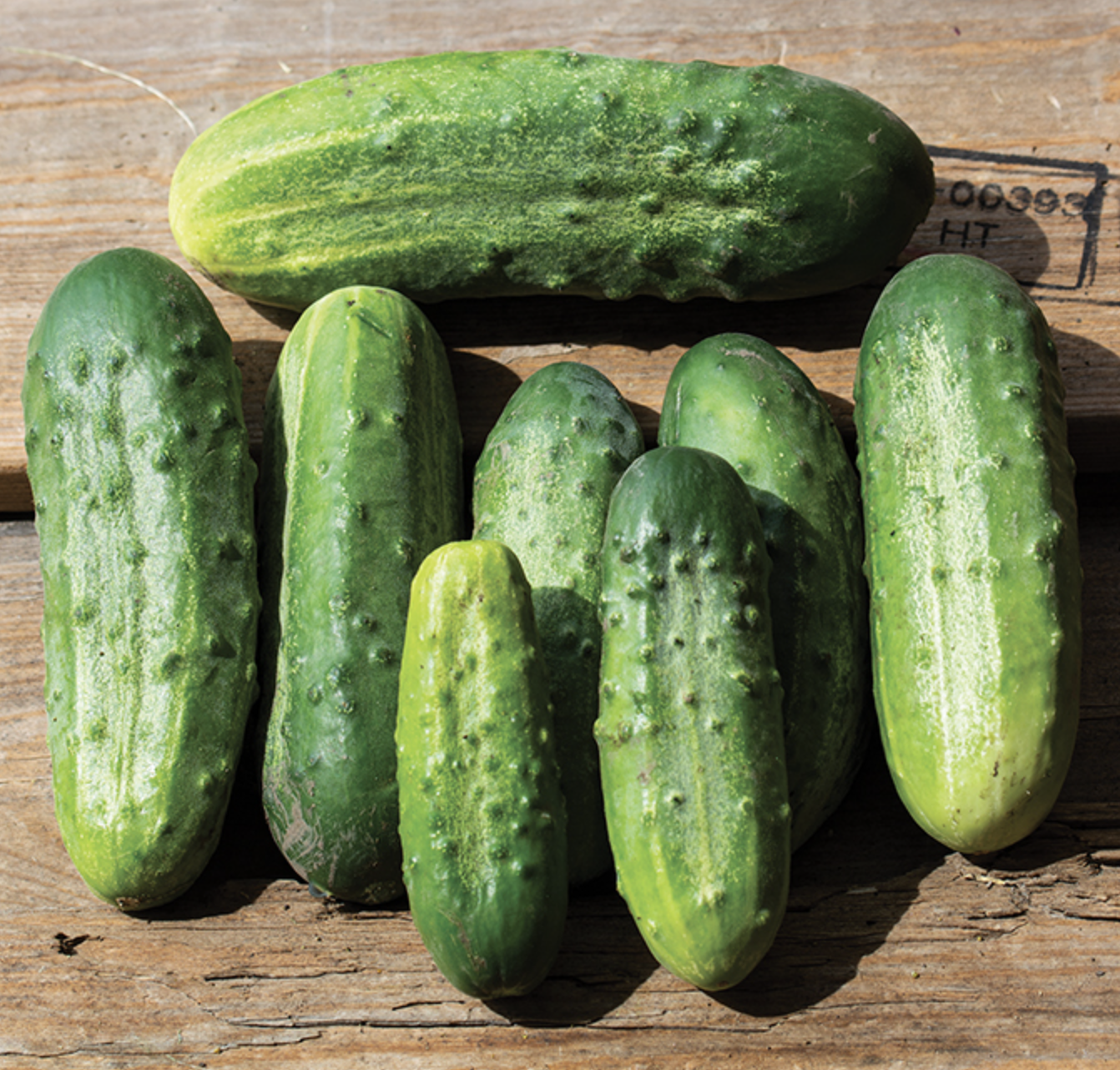 Small Cukes by the pound