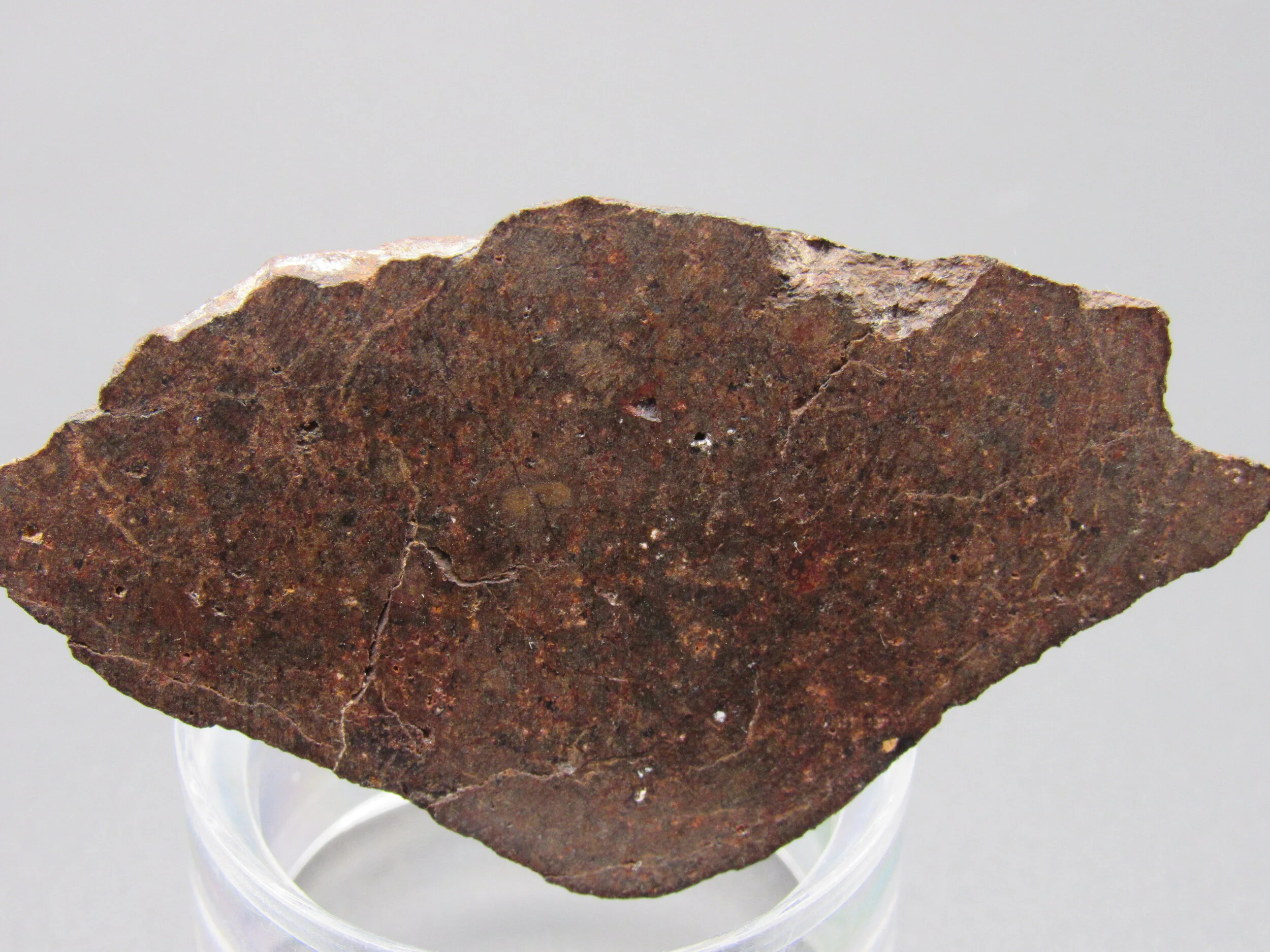 Dhofar 288 L6 Chondrite