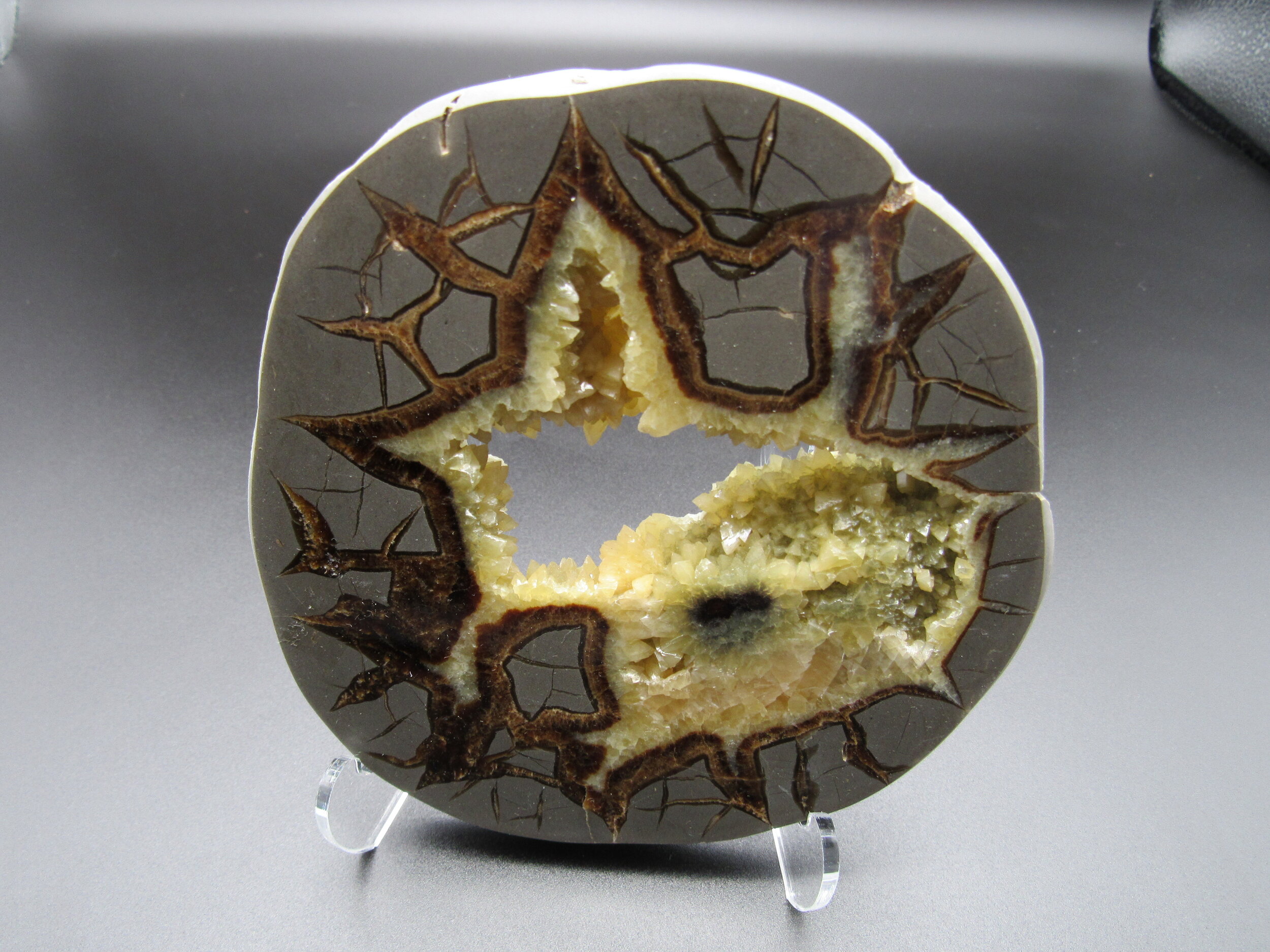 Septarian Nodule - Utah