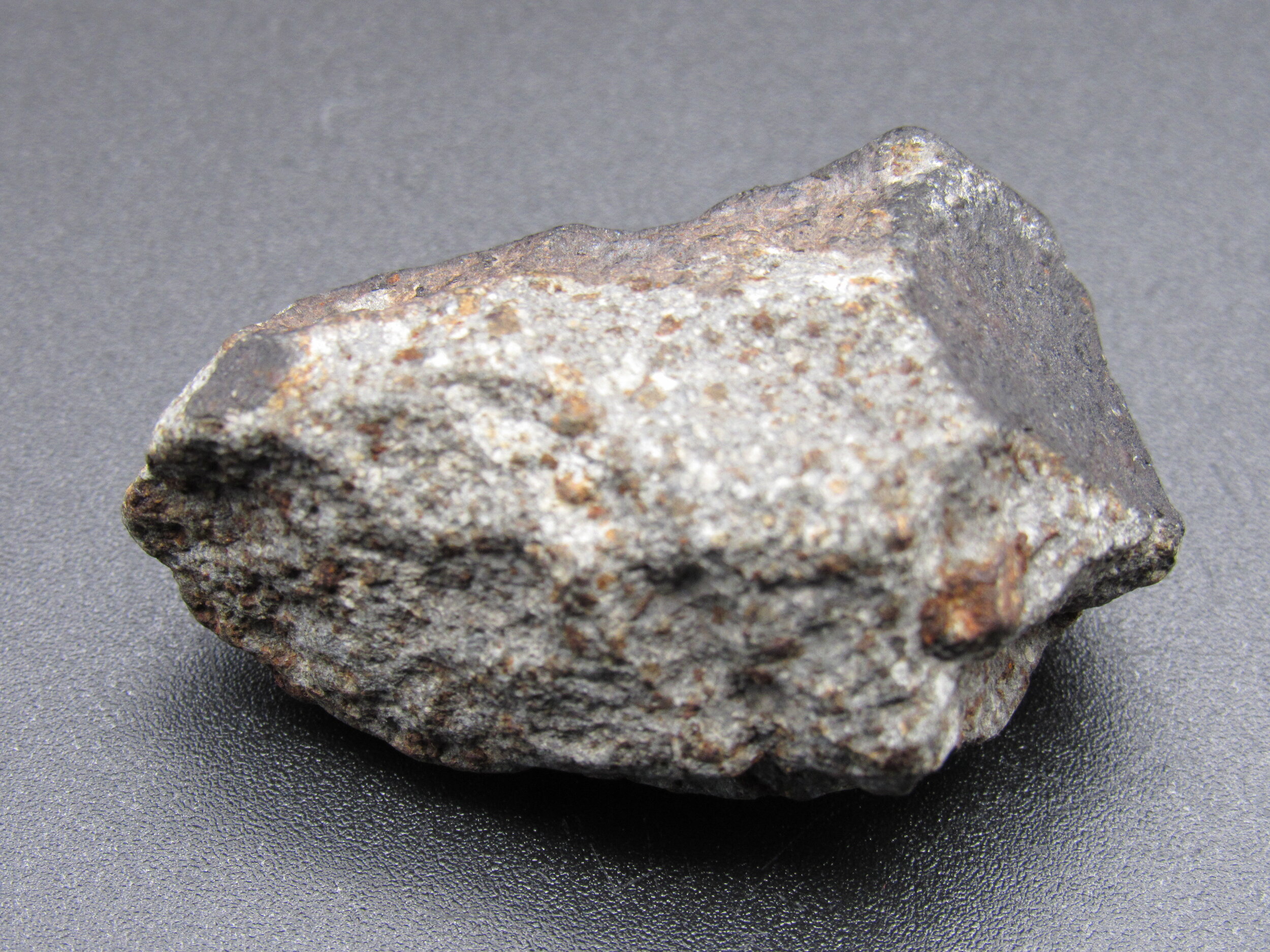 Meteorite label Oum Dreyga 