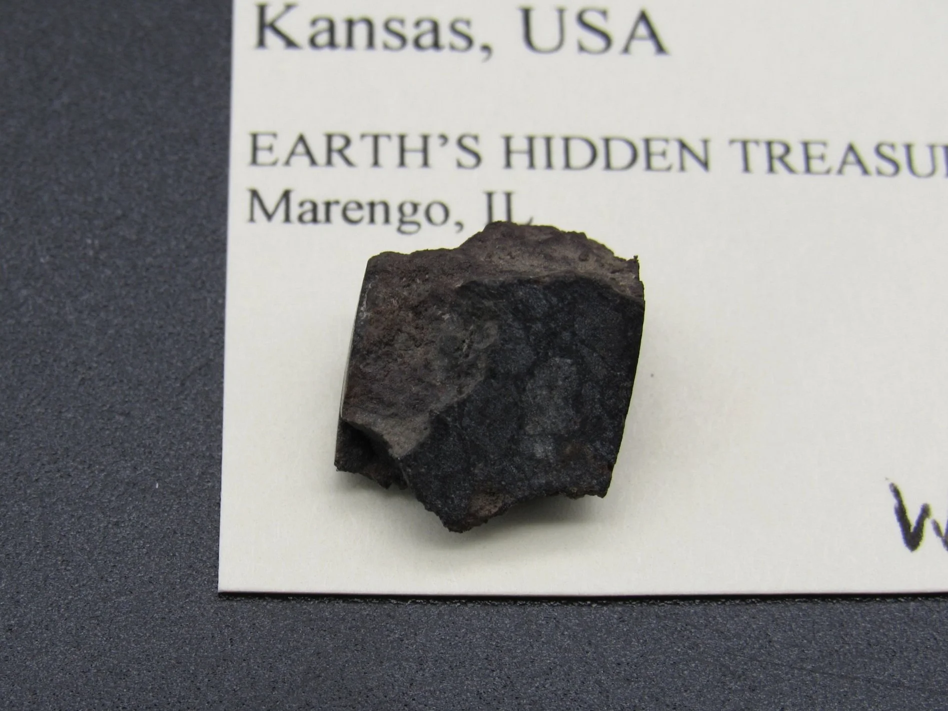 Bison Meteorite  - Kansas