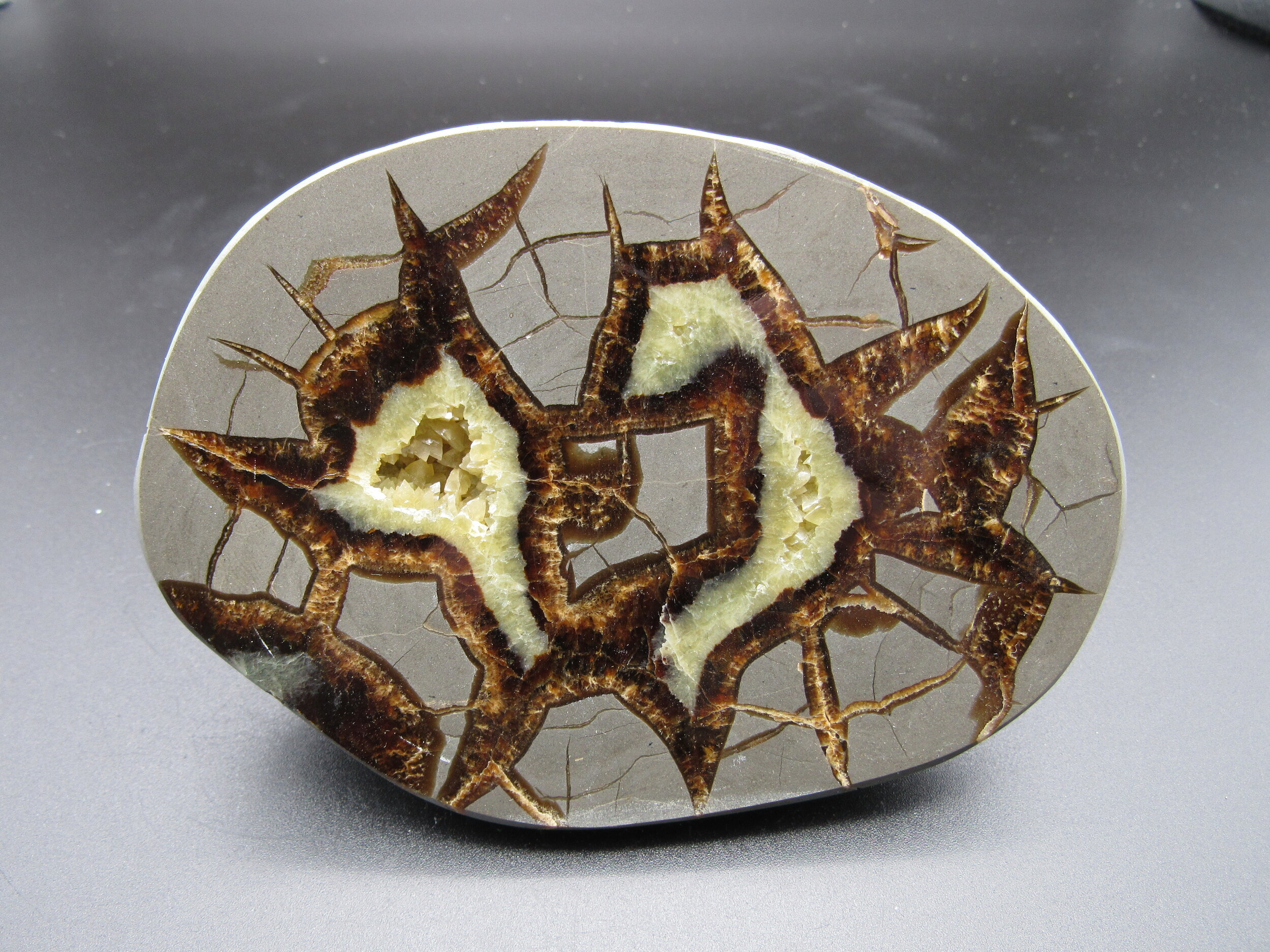 Septarian Geode  -  Utah