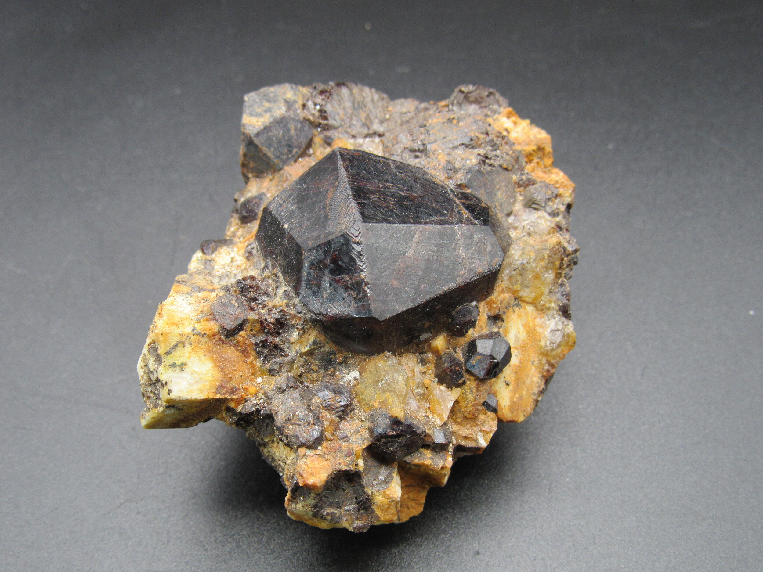 Pyrope Garnet  -  Madagascar