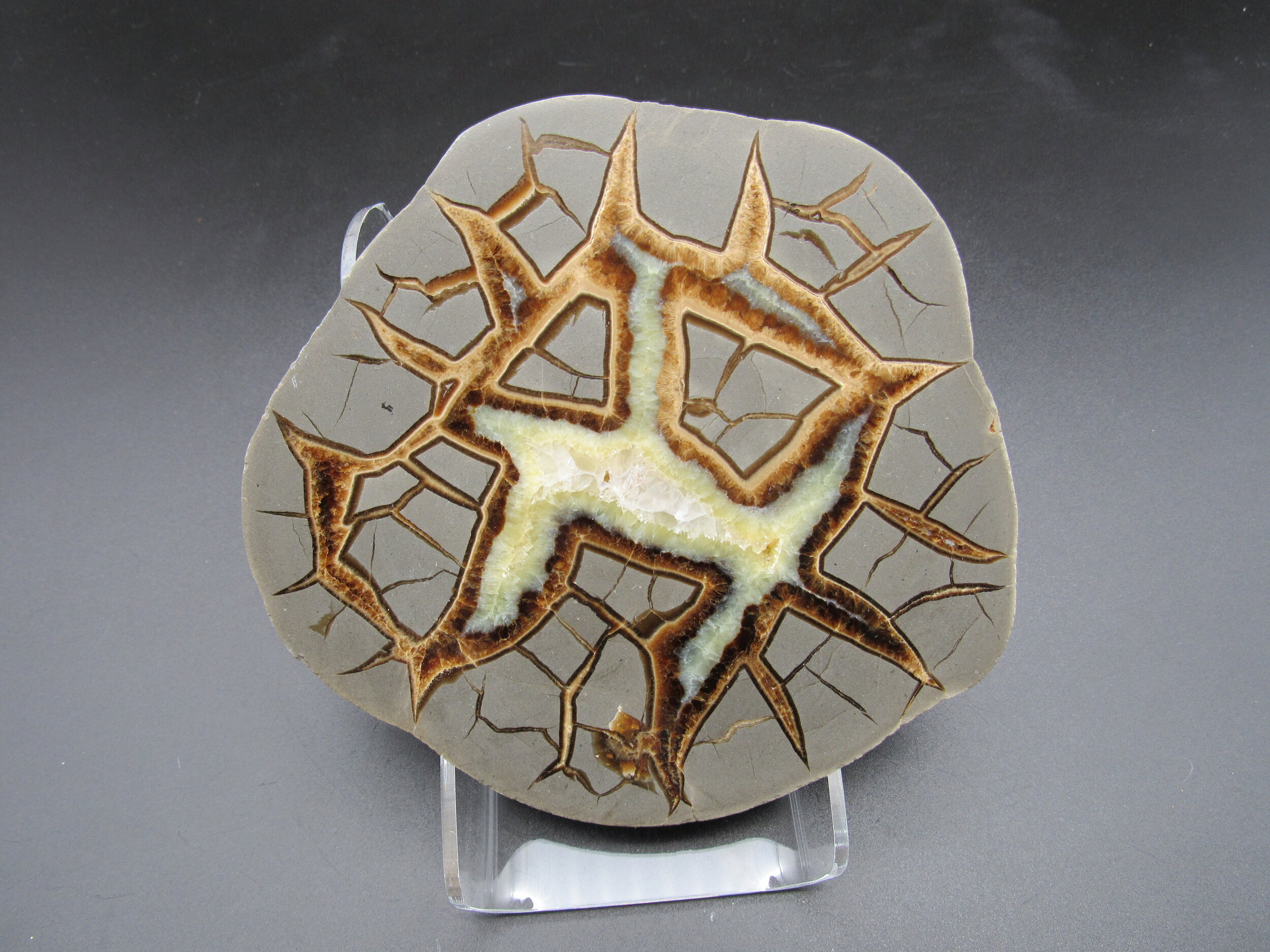Septarian Geode - Utah