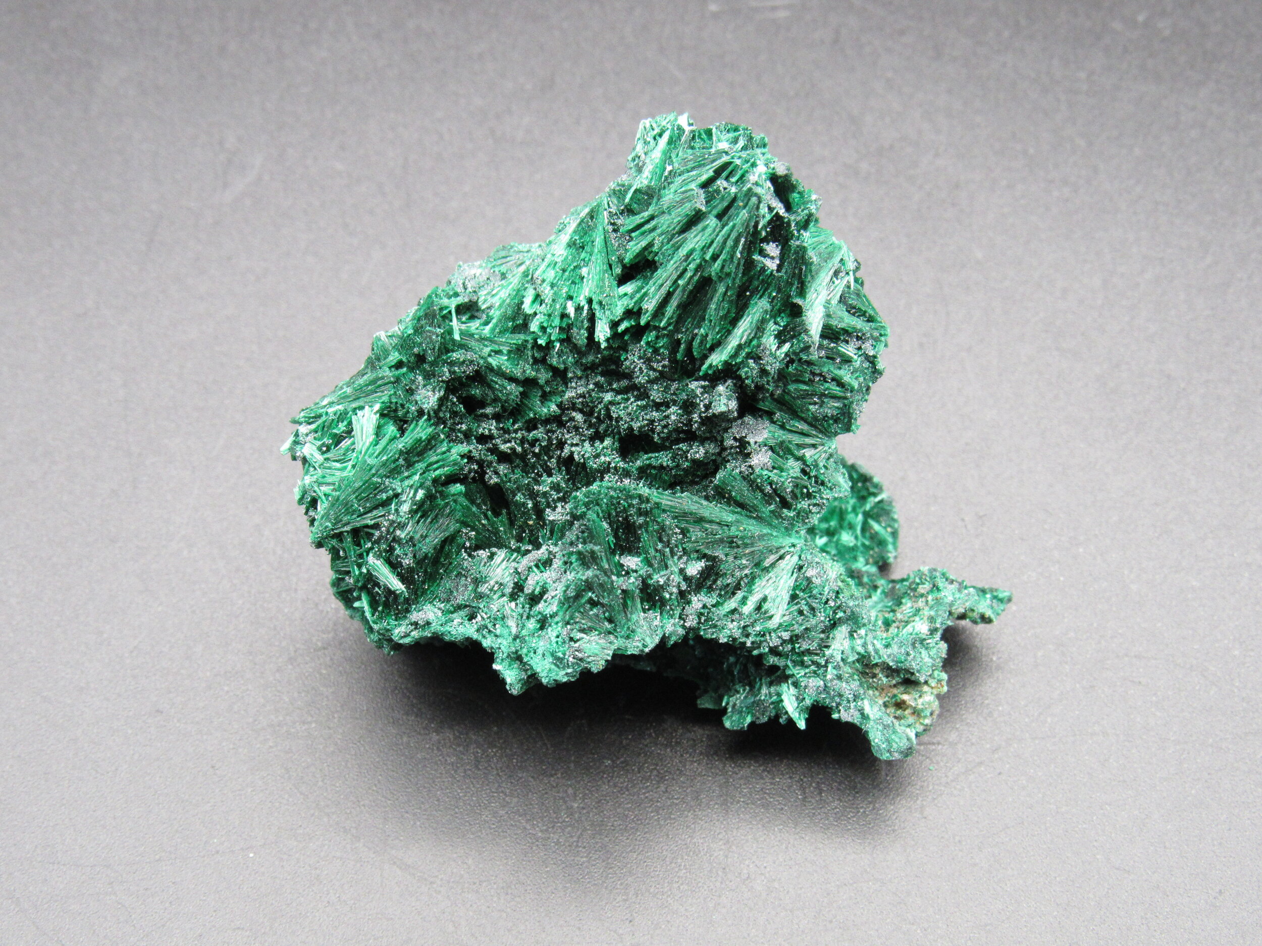 Fibrous Malachite  - Congo