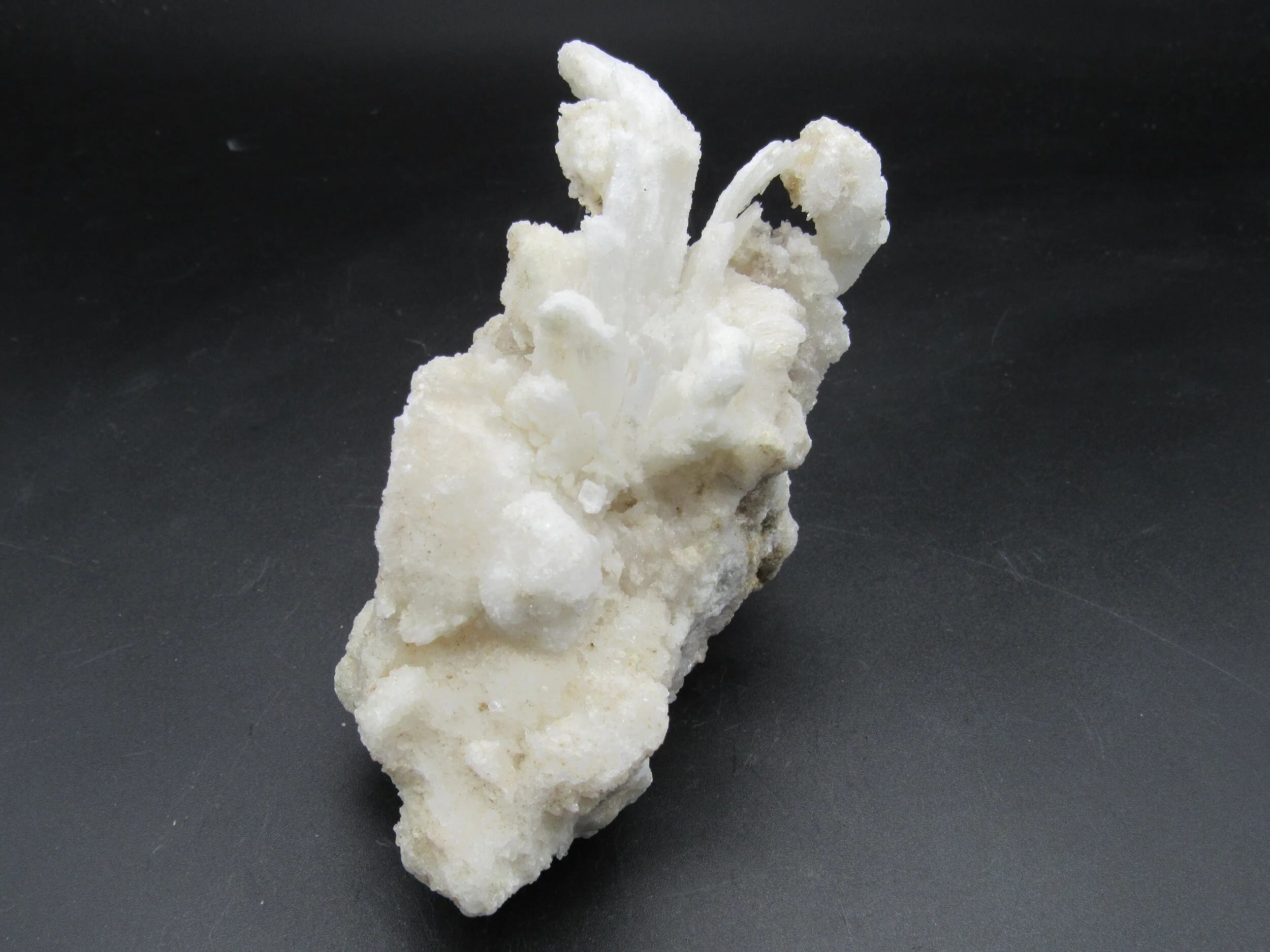 Selenite "Rams Horn"  -  Mexico