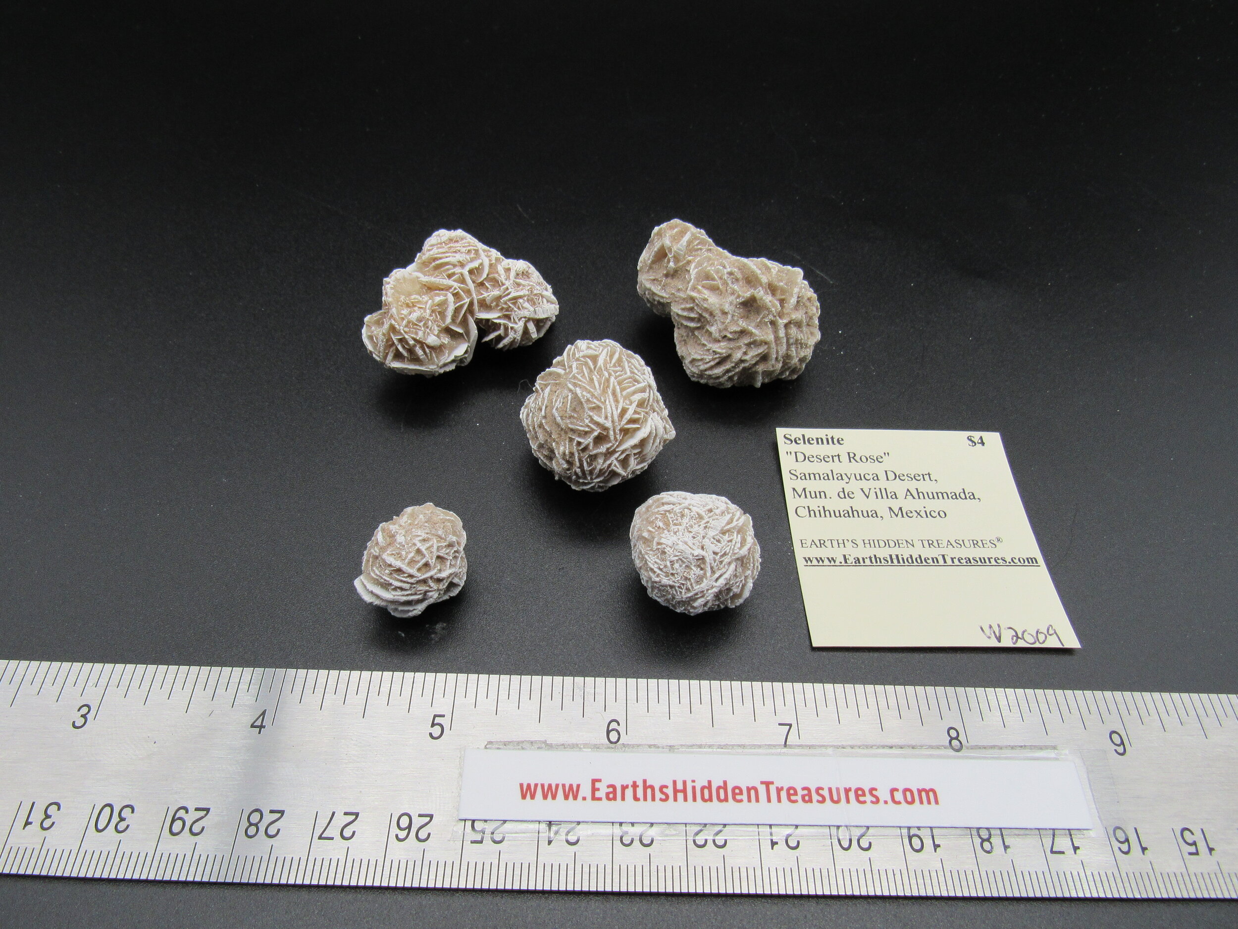 Desert Rose (Gypsum)  -  Mexico