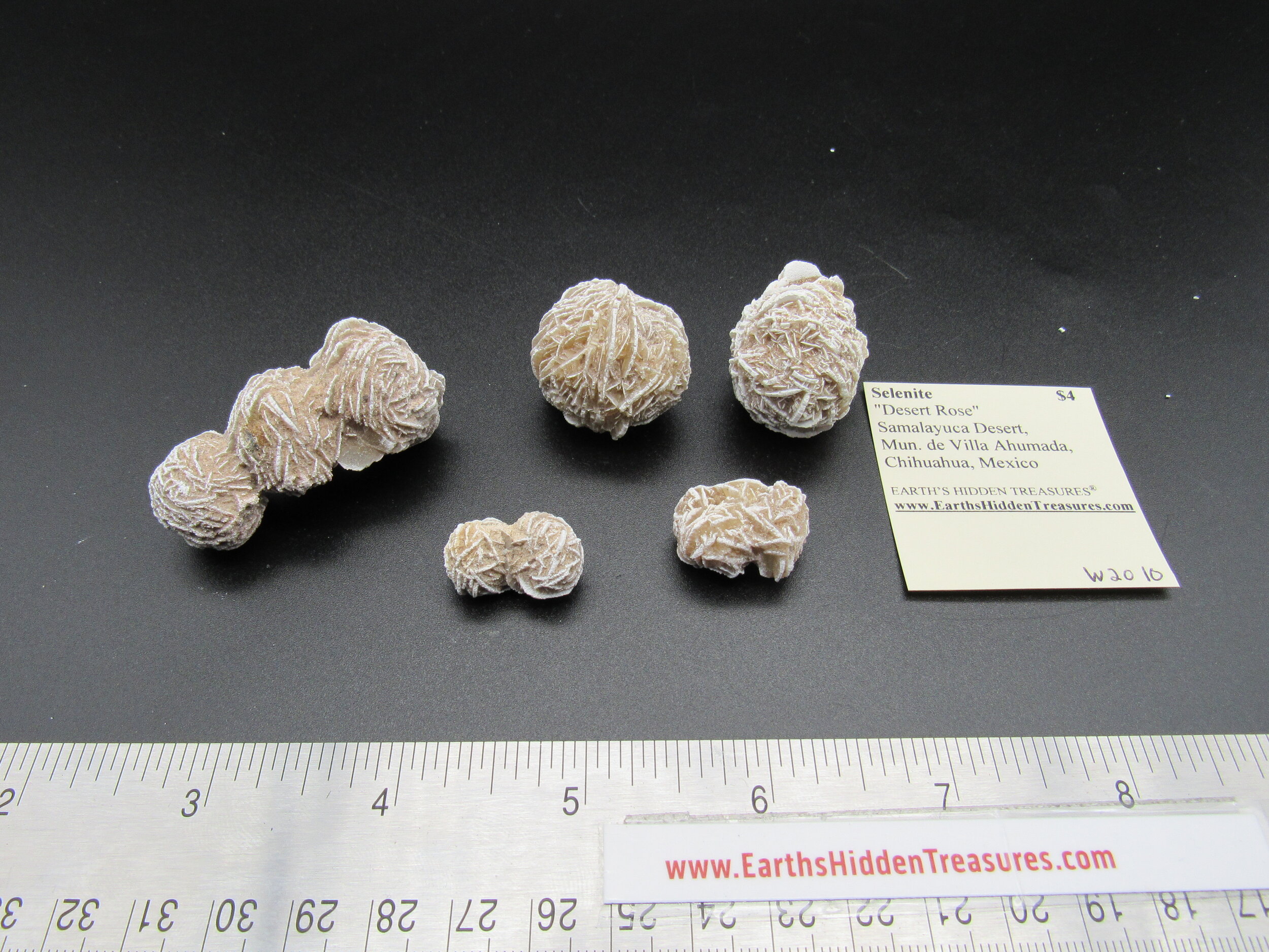 Desert Rose (Selenite)  - Mexico