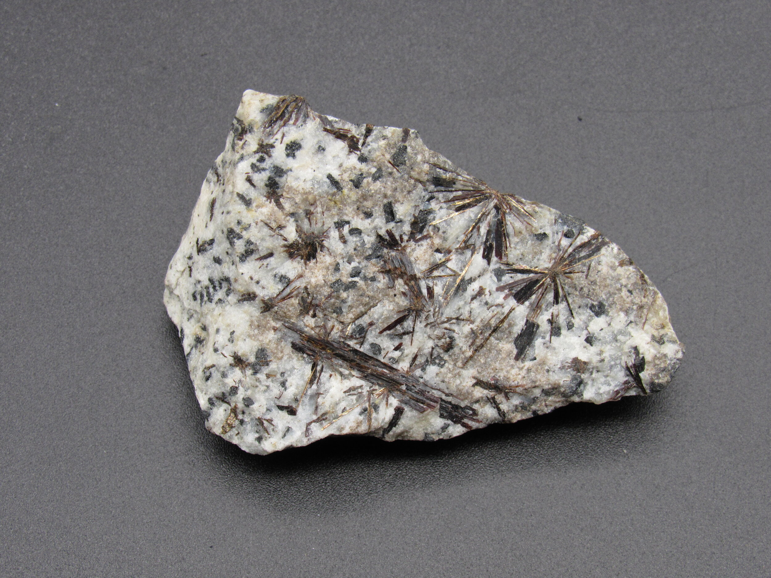 Astrophyllite  -  Russia