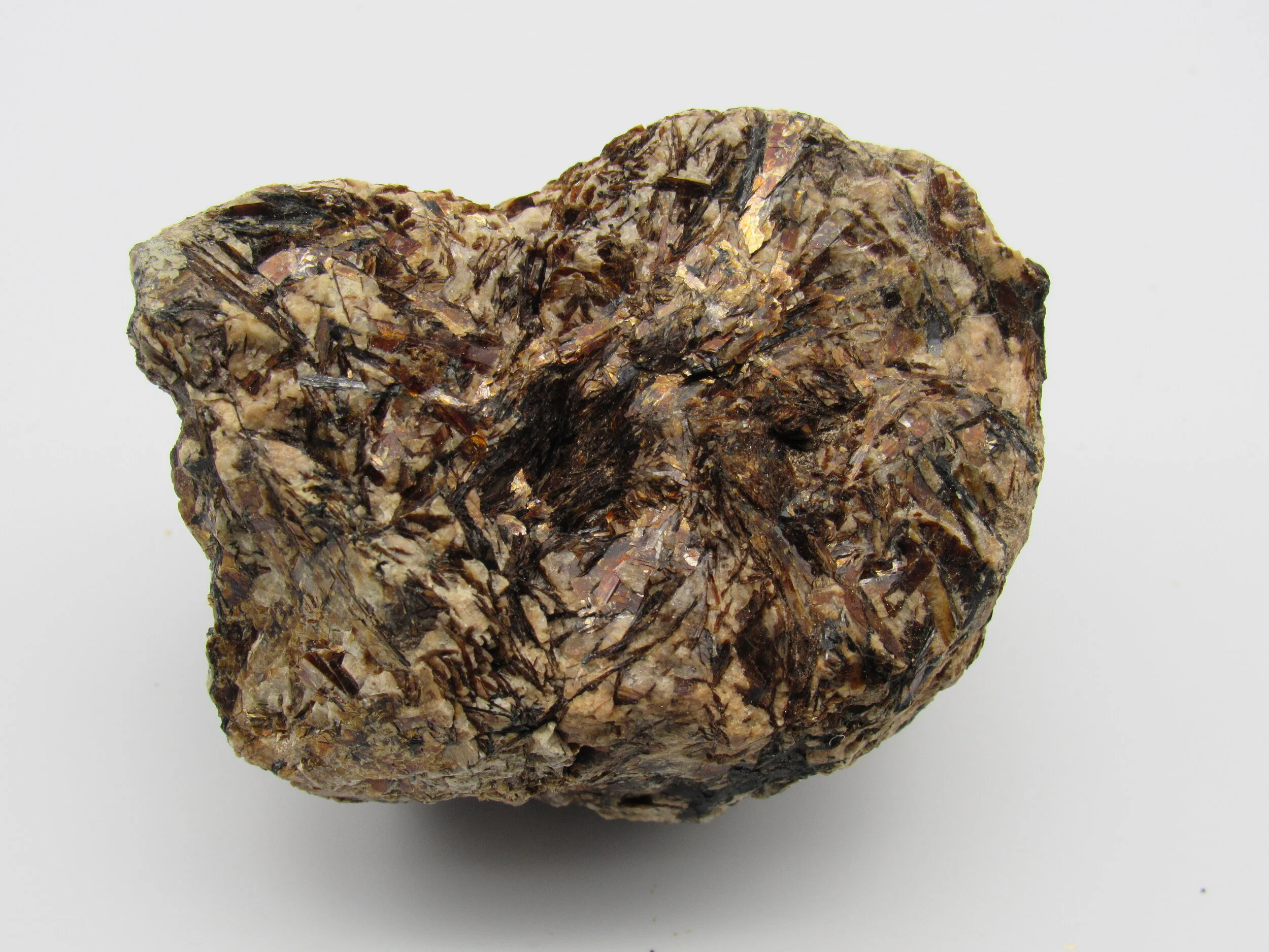 Astrophyllite  -  Russia