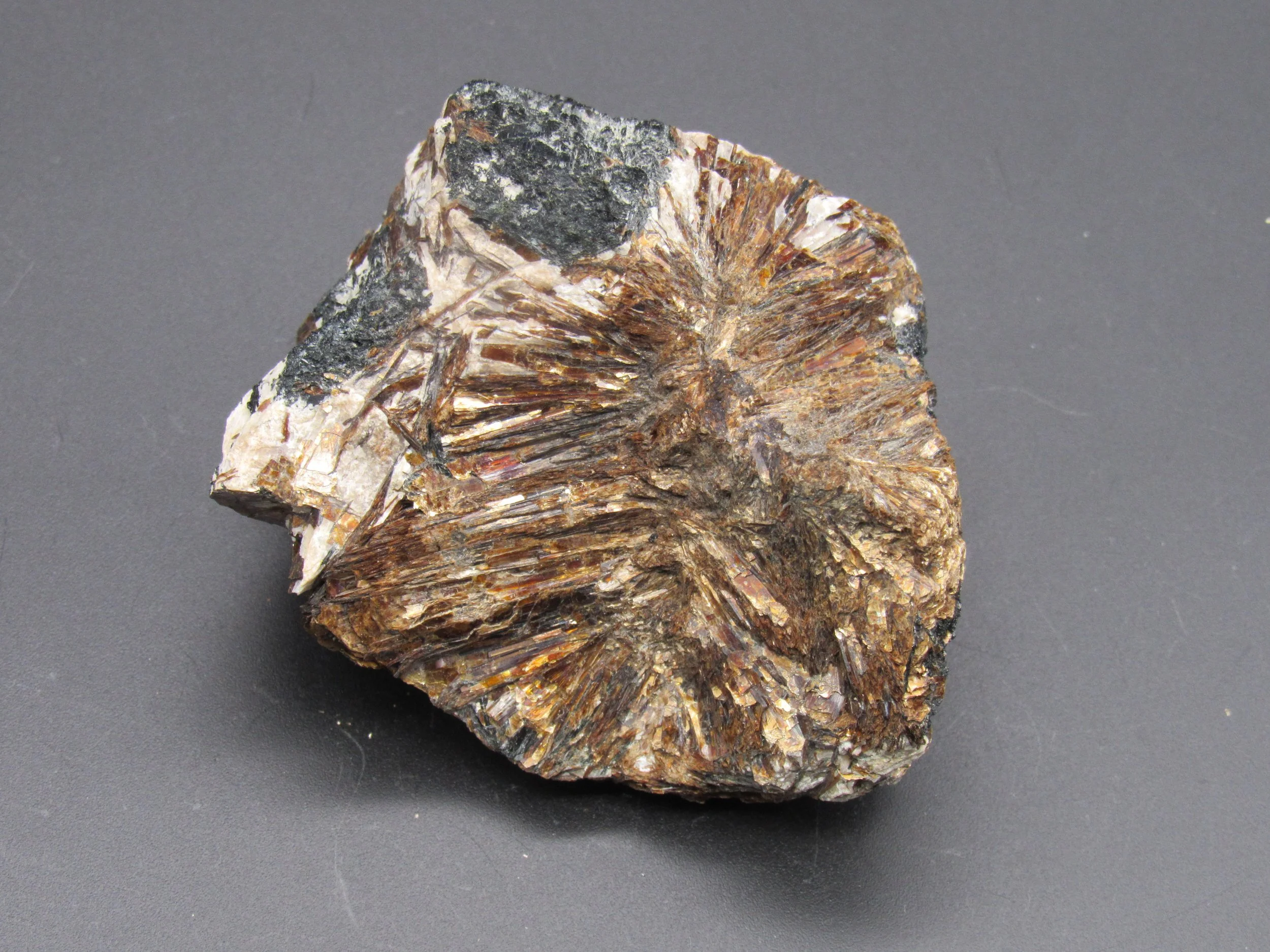Astrophyllite  -  Russia