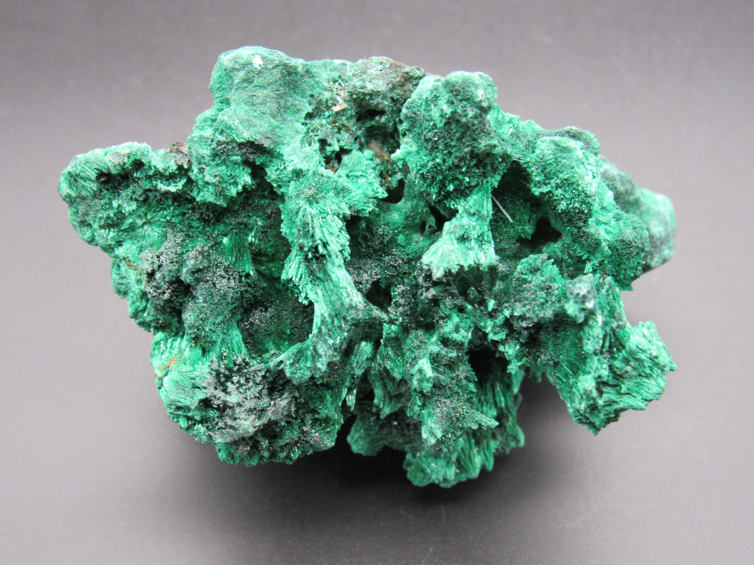 Fibrous Malachite  - Congo